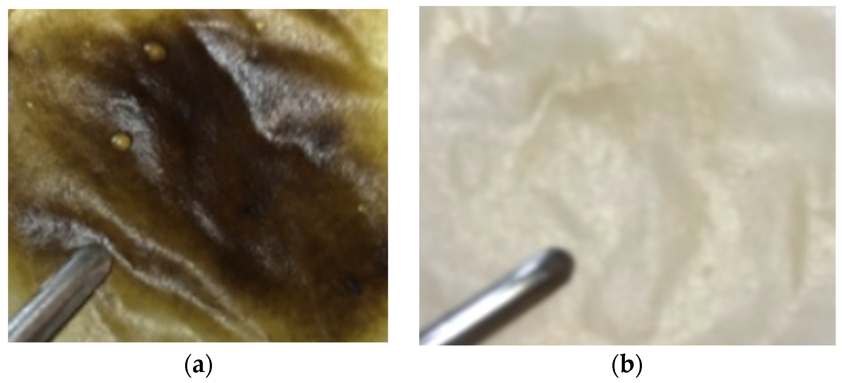 Materials 17 03510 g001 Materials 17 03510 g001