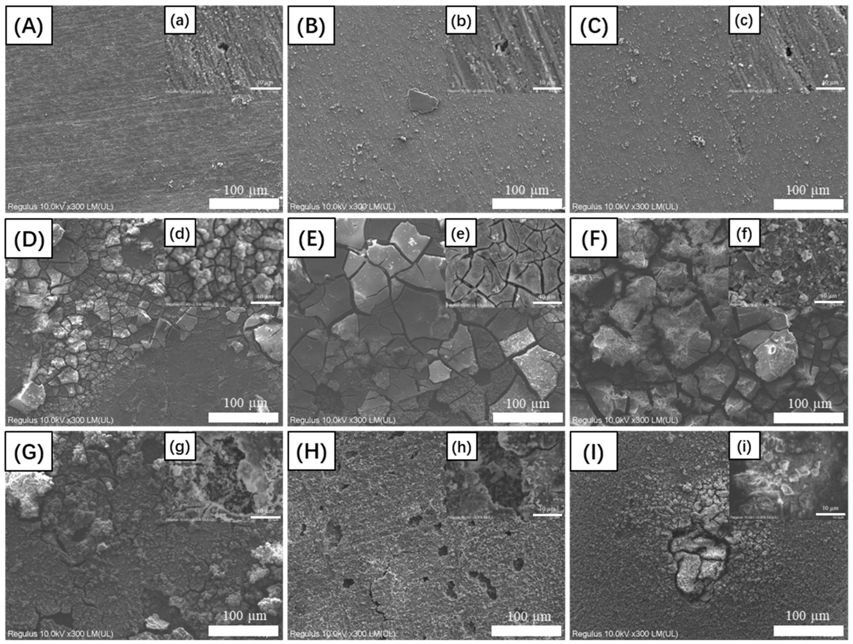 Materials 17 03523 g001