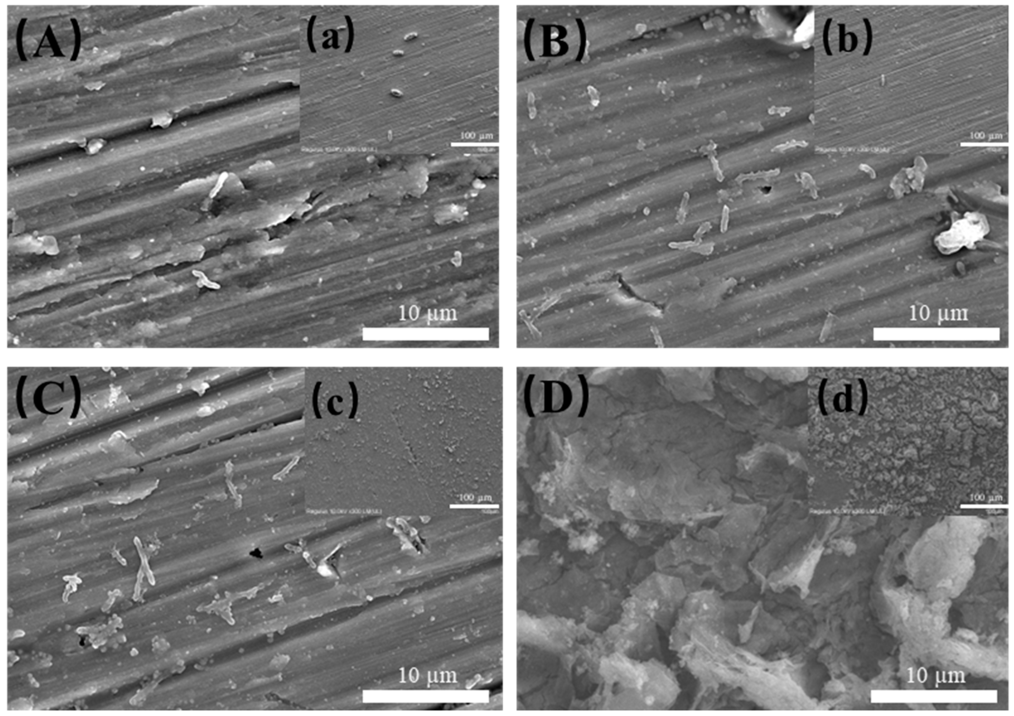 Materials 17 03523 g005