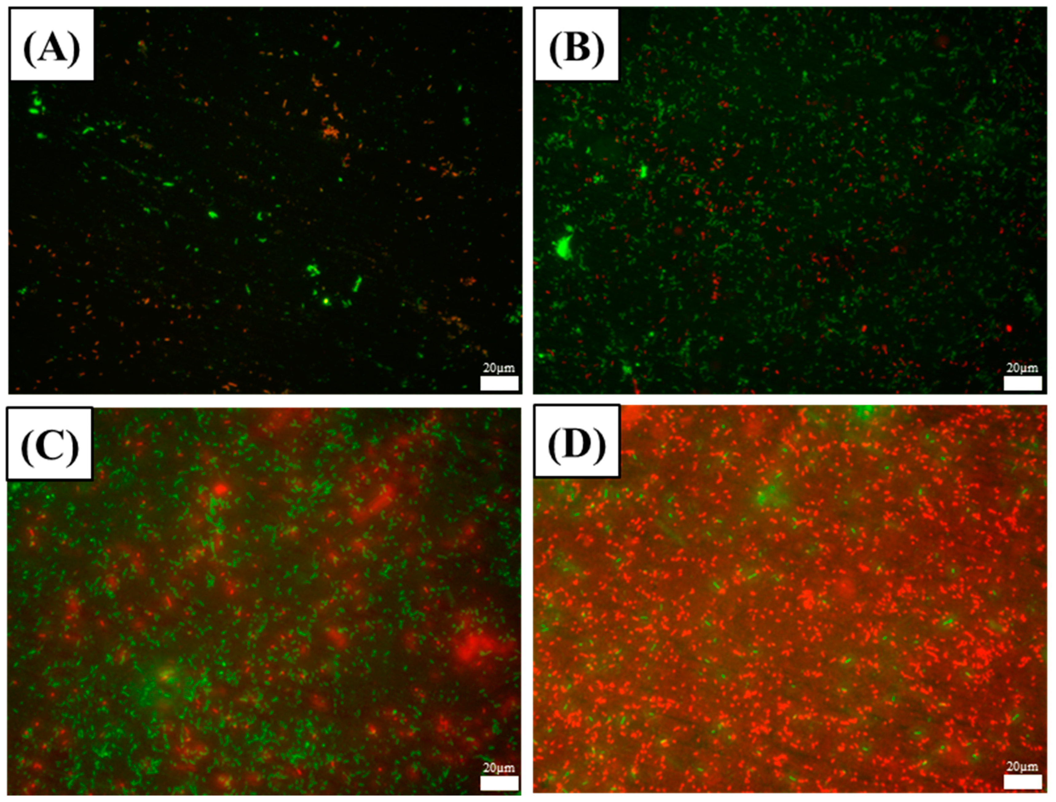 Materials 17 03523 g006