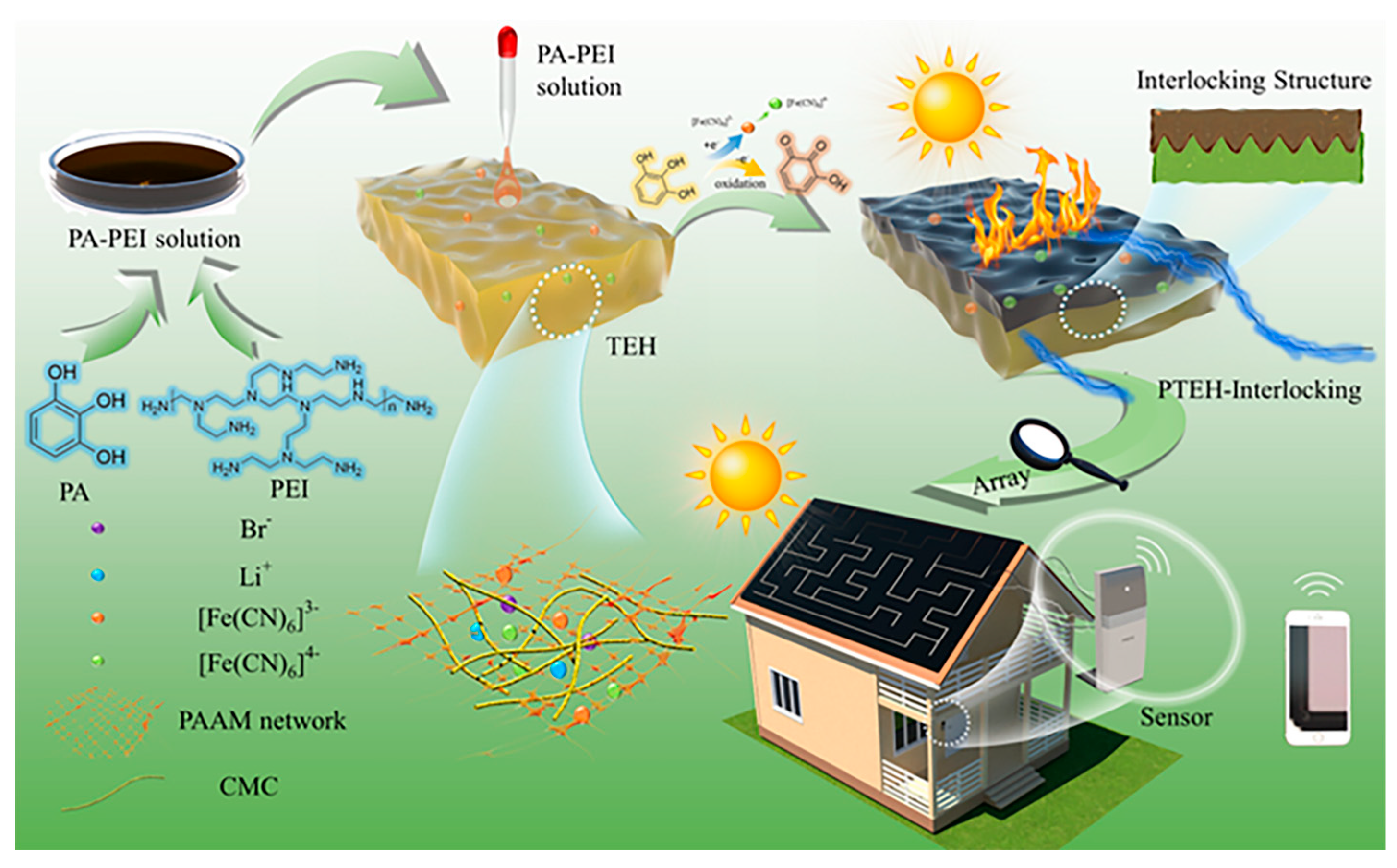 Materials 17 03524 g005