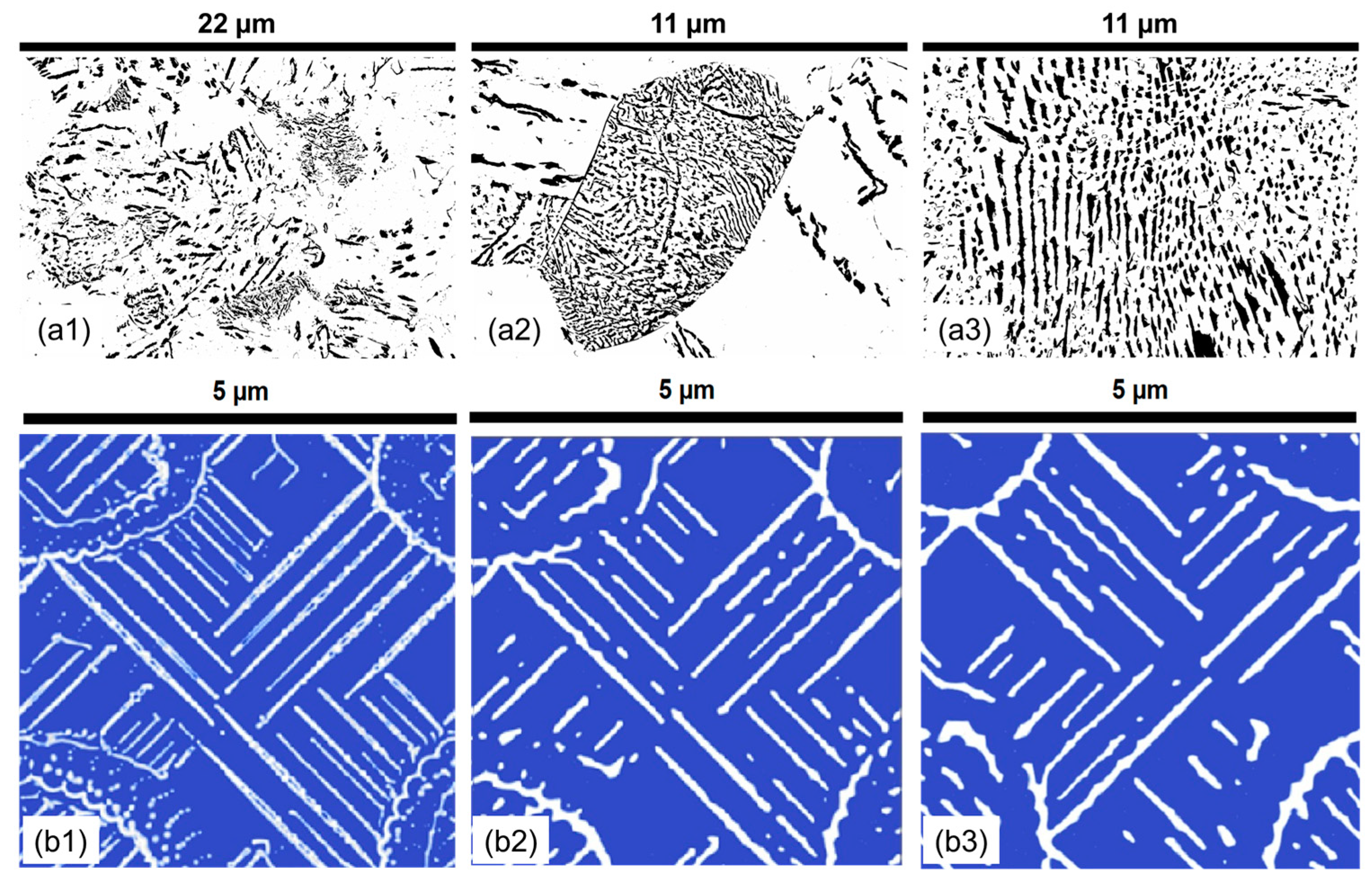 Materials 17 03538 g014