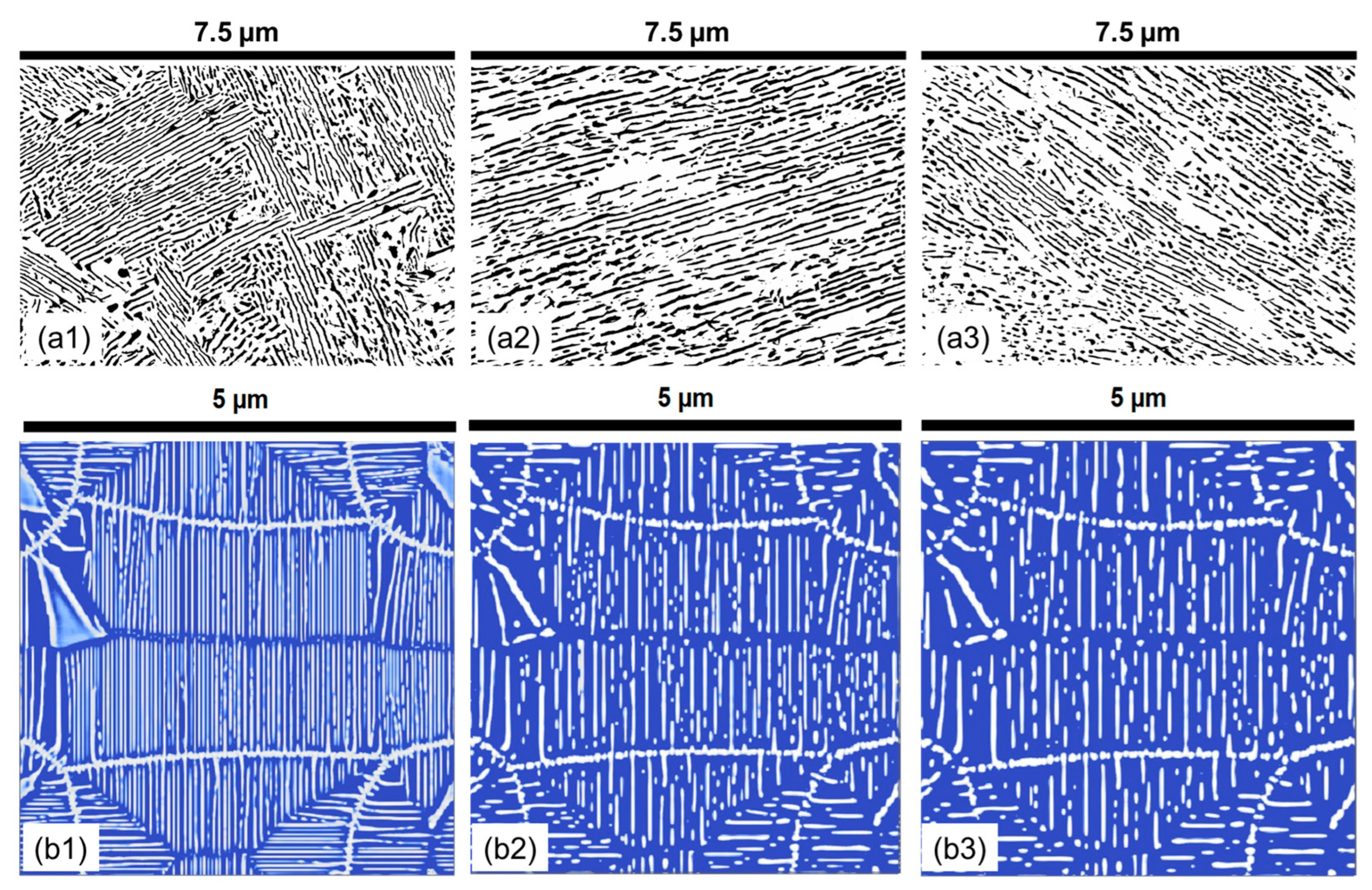Materials 17 03538 g016