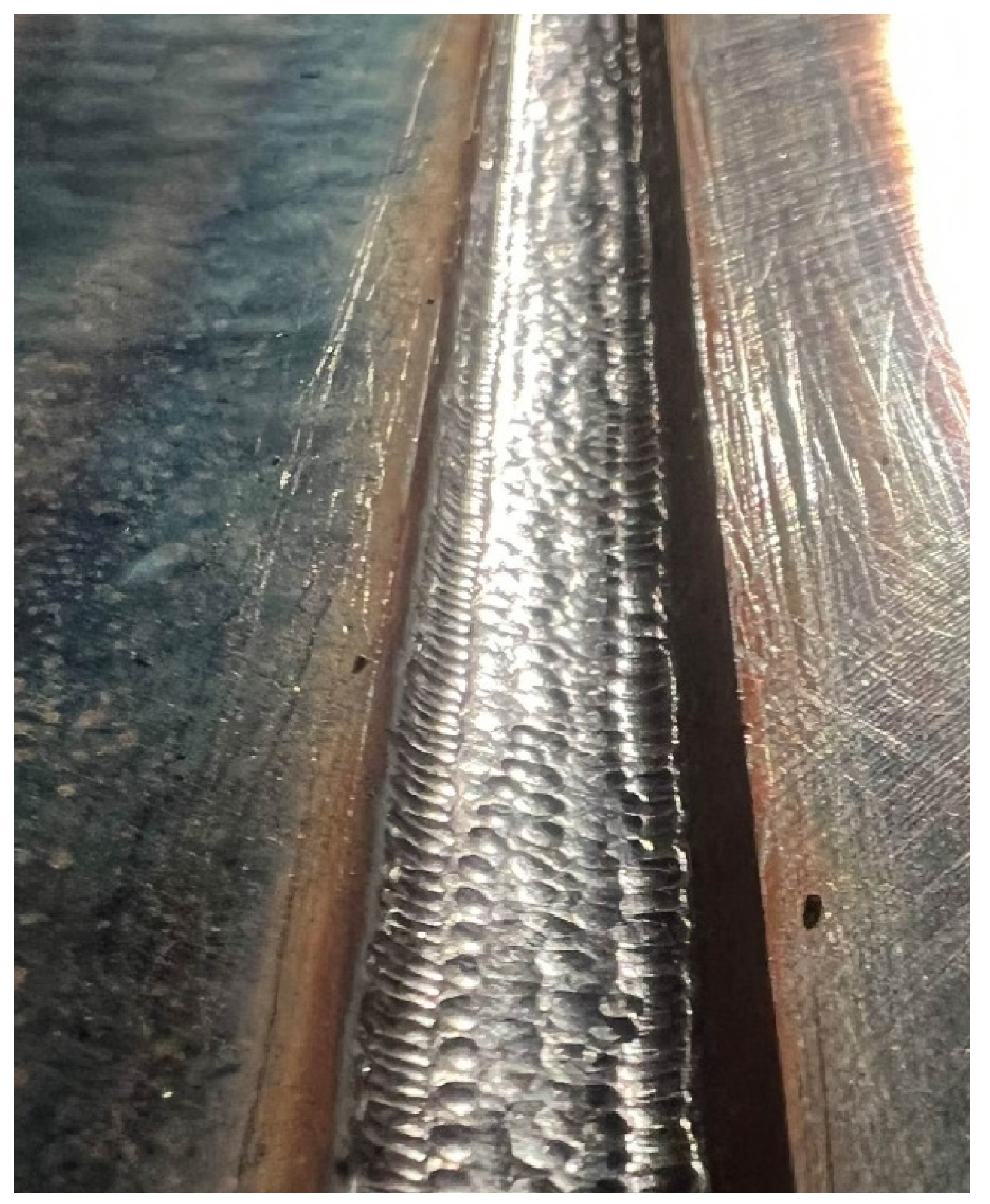 Materials 17 03560 g003