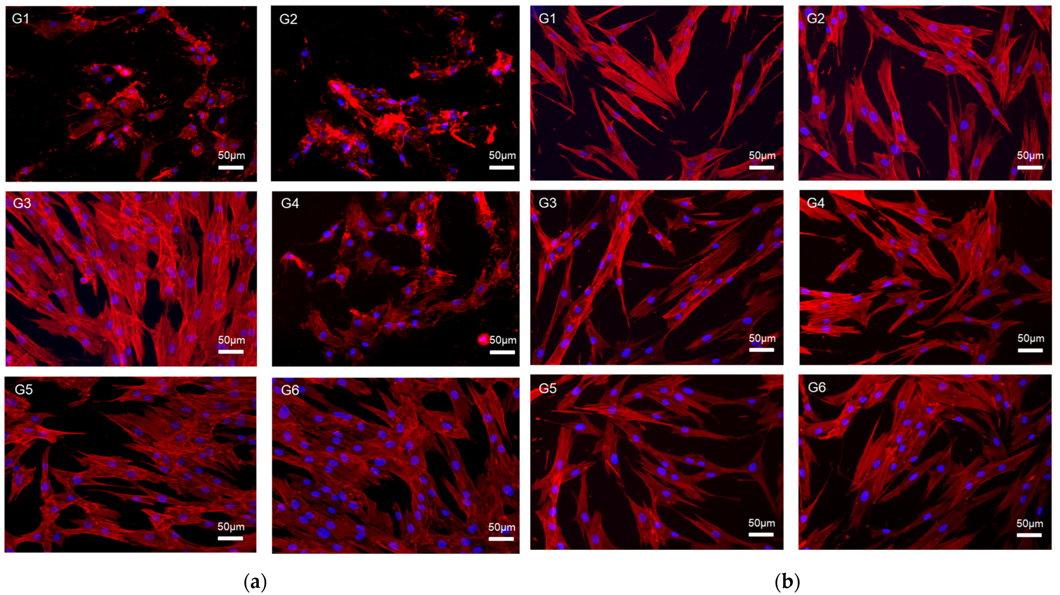 Materials 17 03572 g005