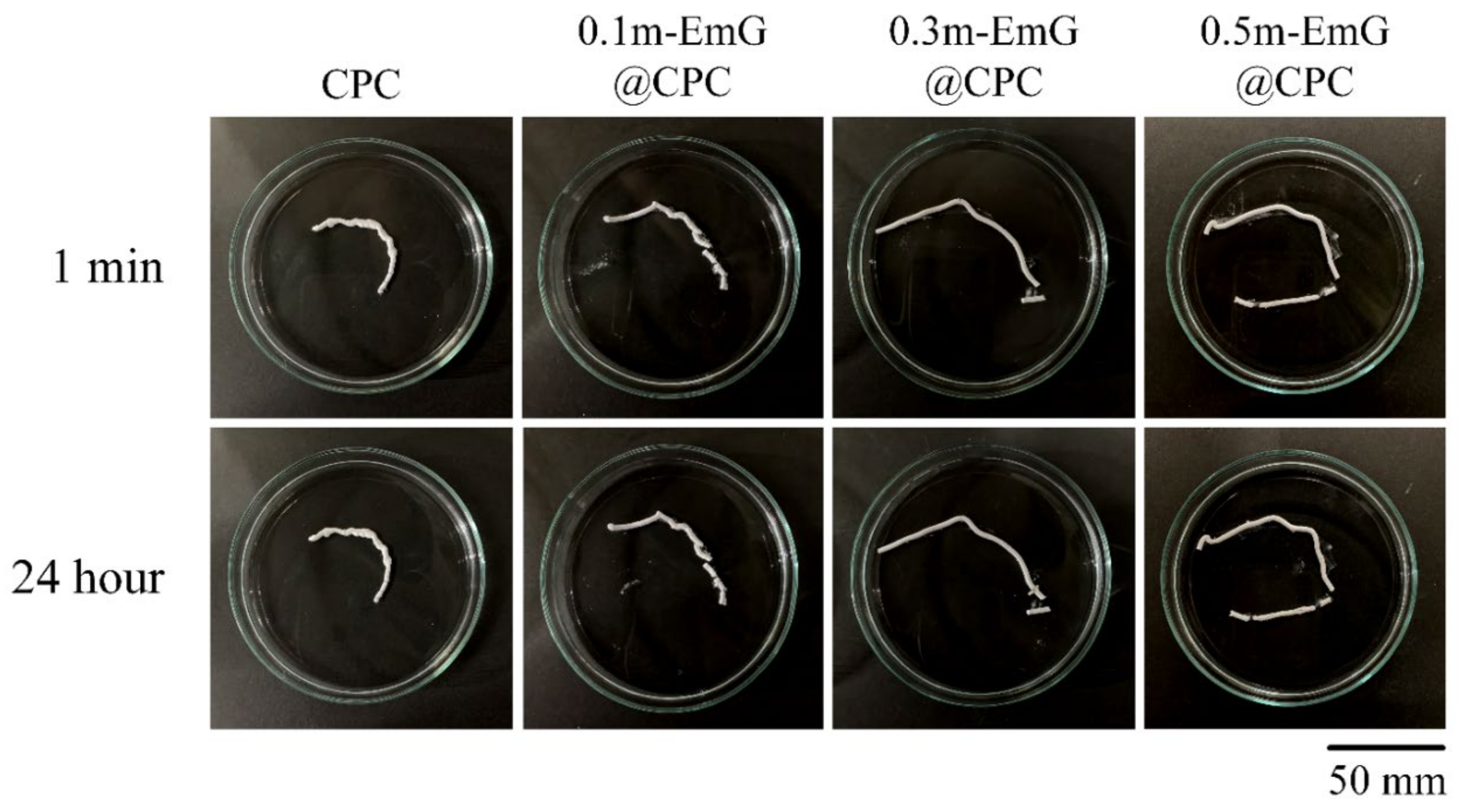 Materials 17 03578 g010