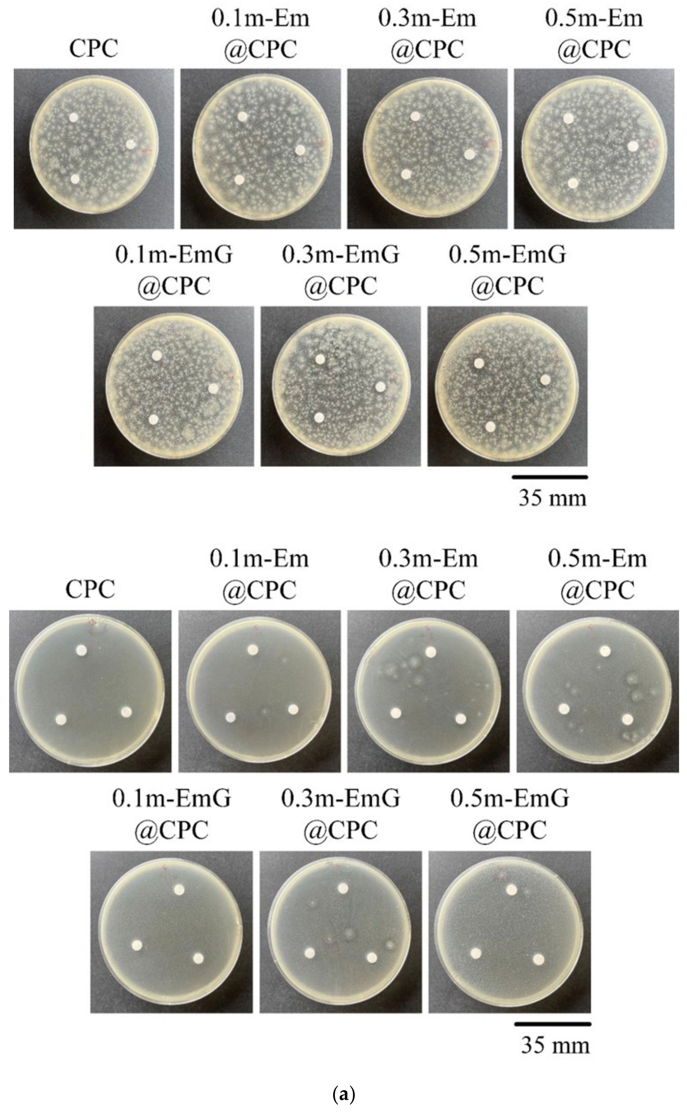 Materials 17 03578 g012a