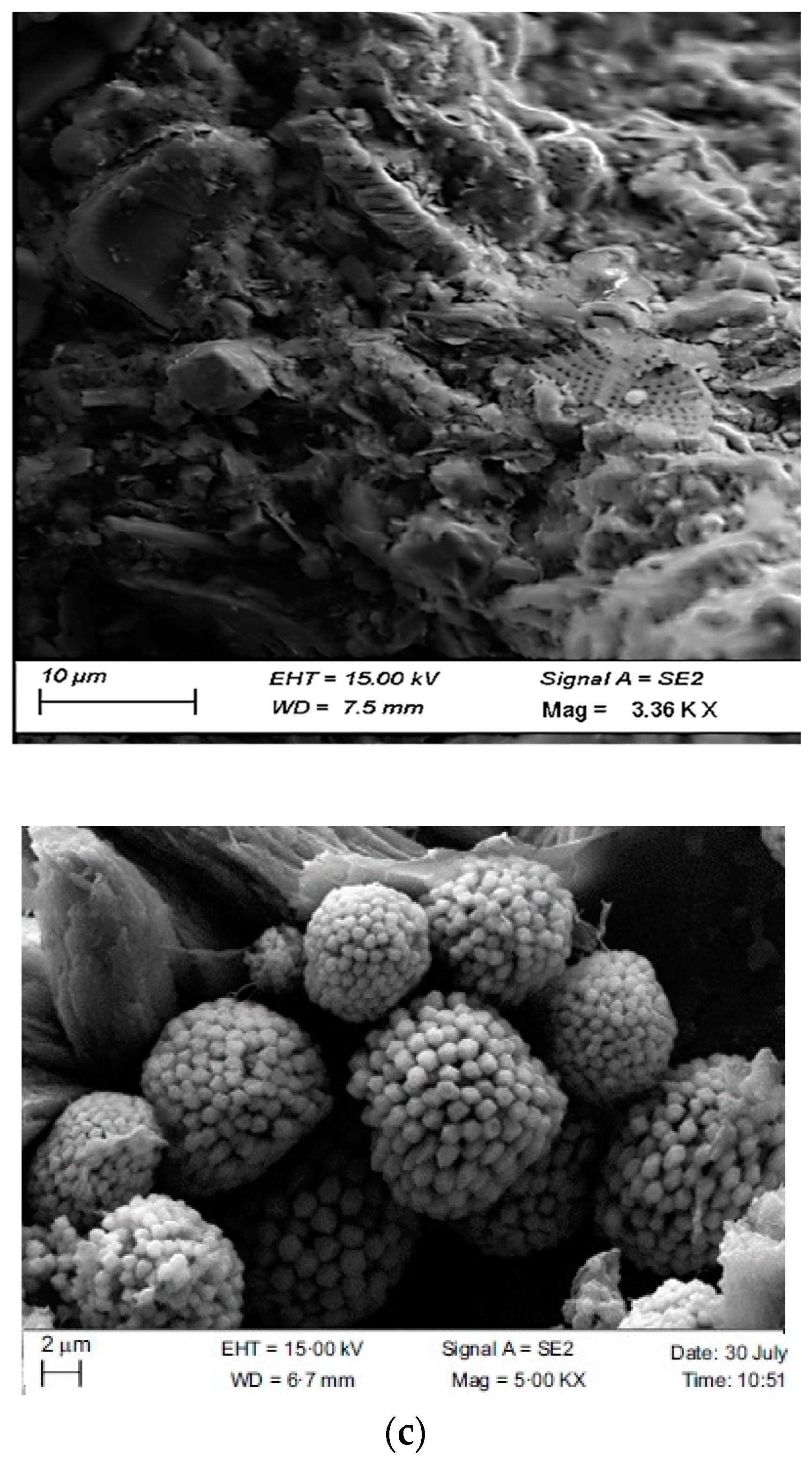 Materials 17 03597 g003b