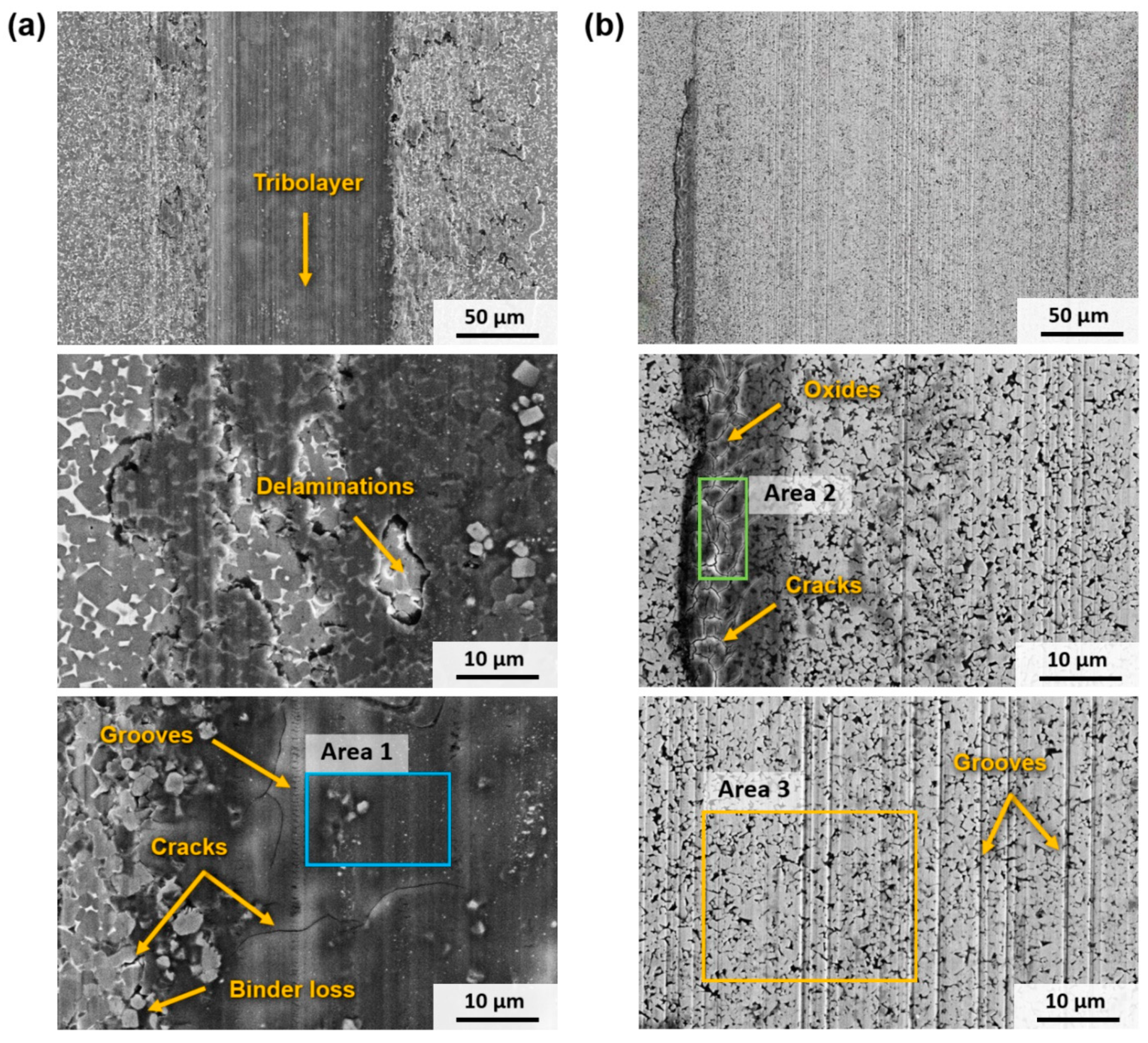 Materials 17 03615 g007