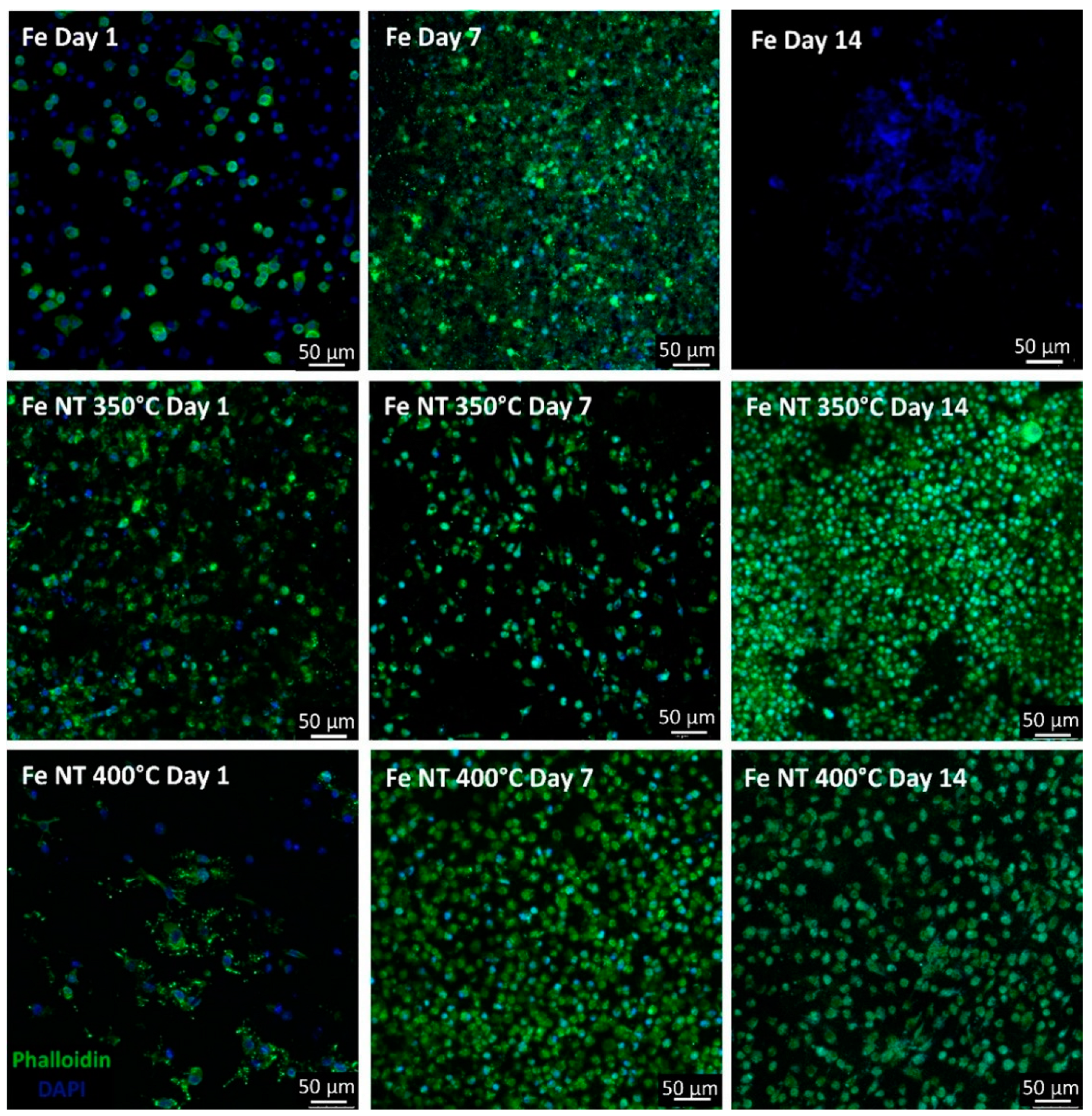 Materials 17 03627 g005