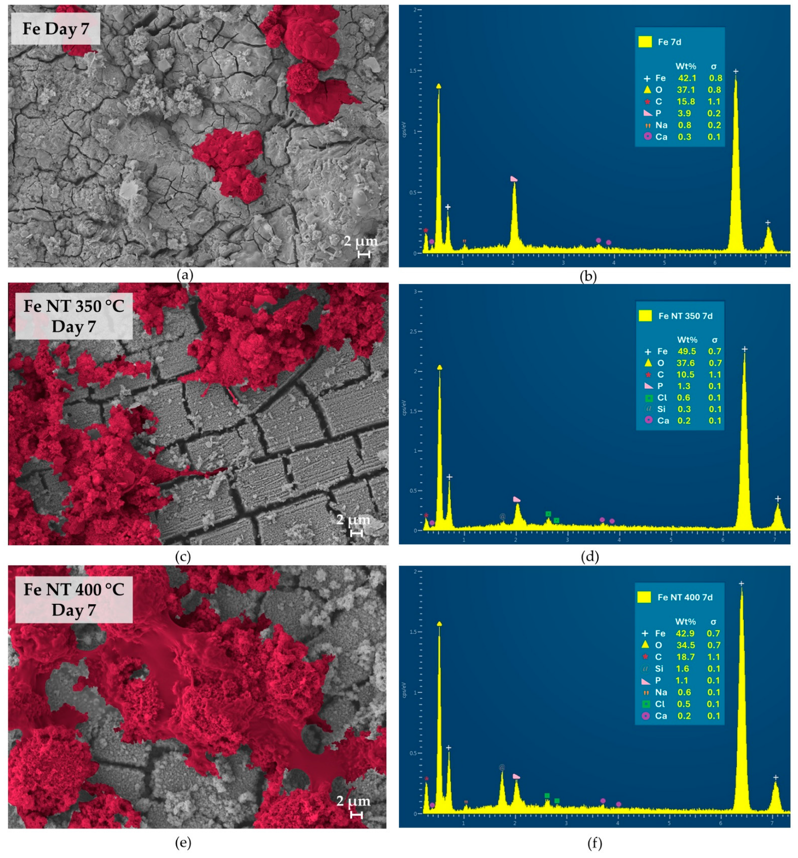Materials 17 03627 g007