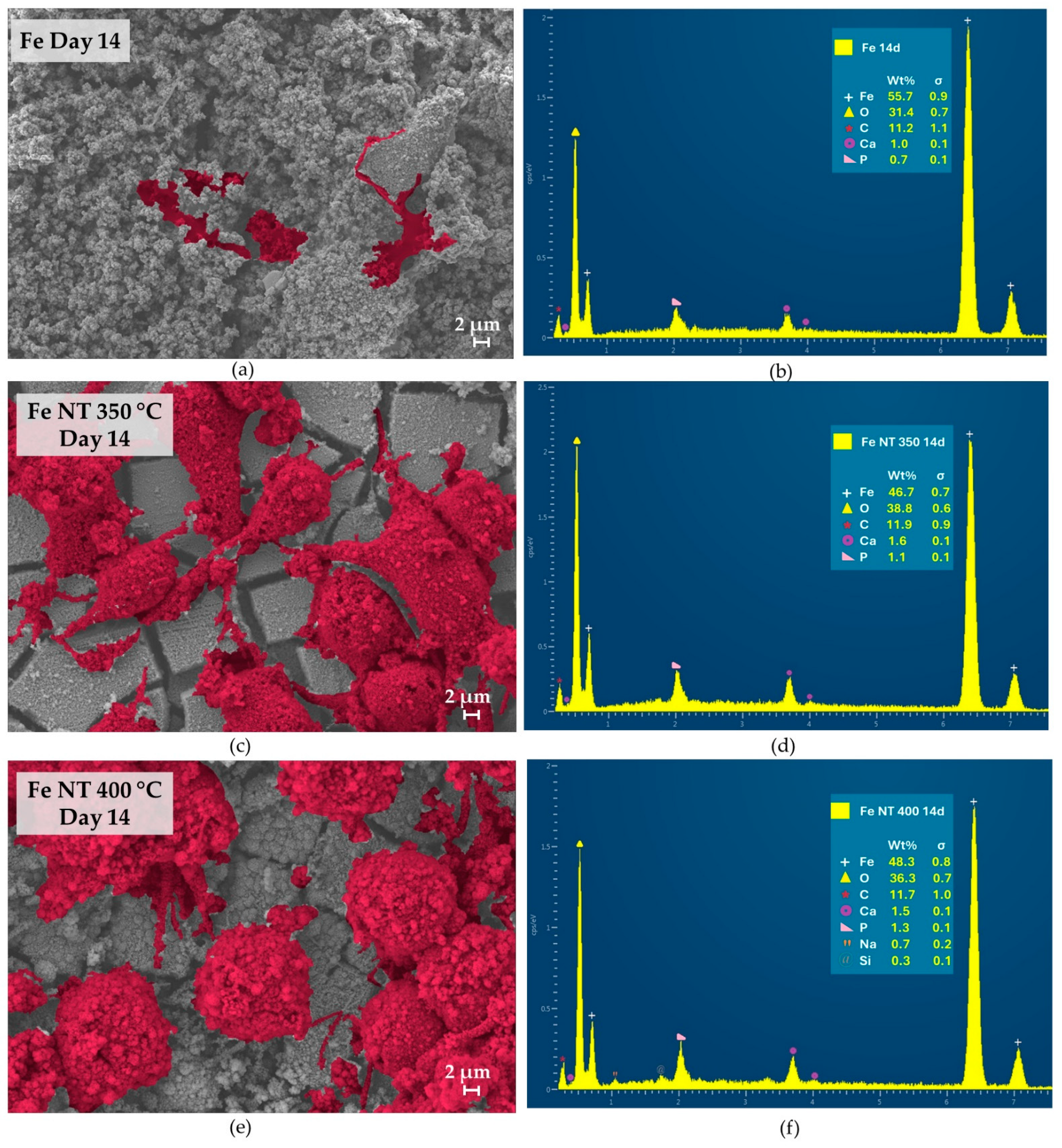Materials 17 03627 g008