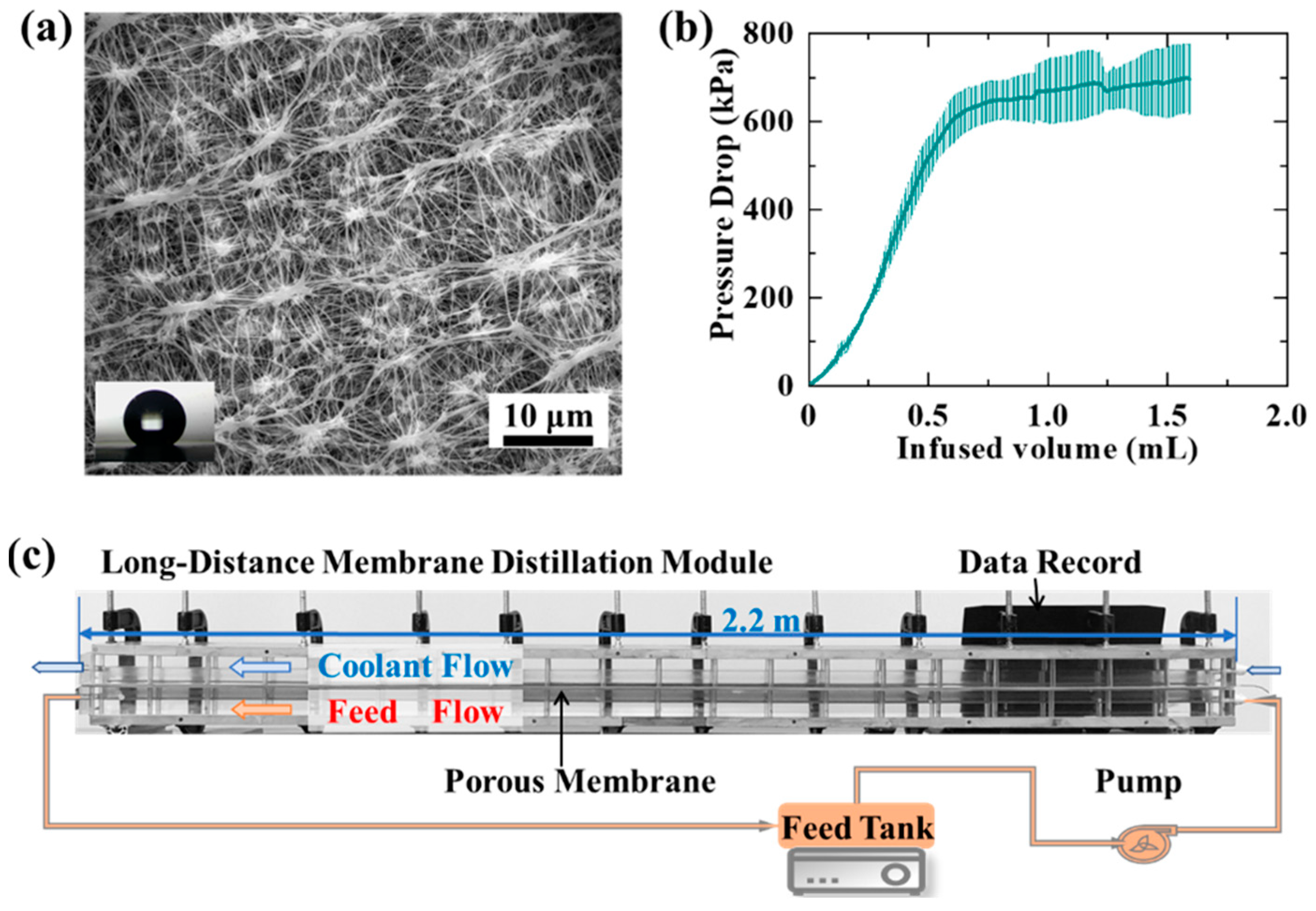 Materials 17 03629 g001