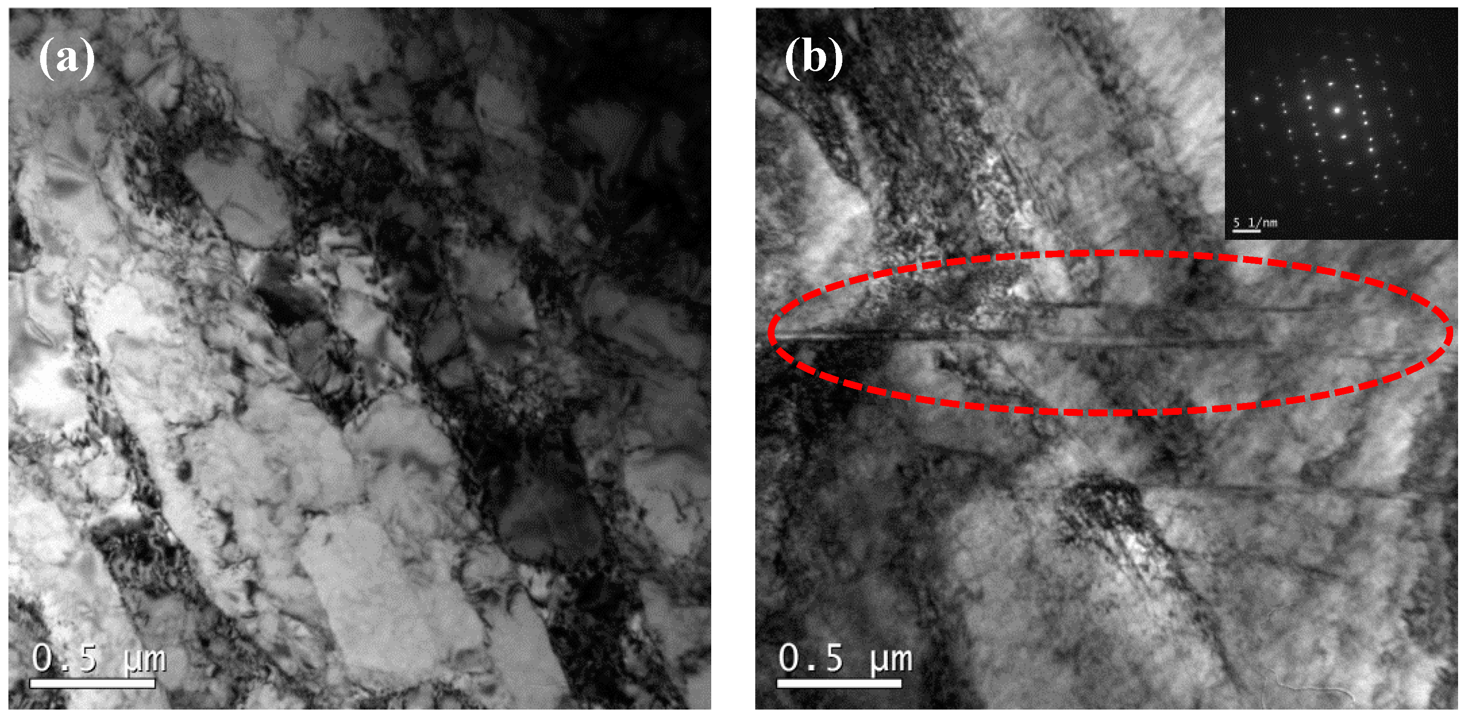 Materials 17 03641 g005