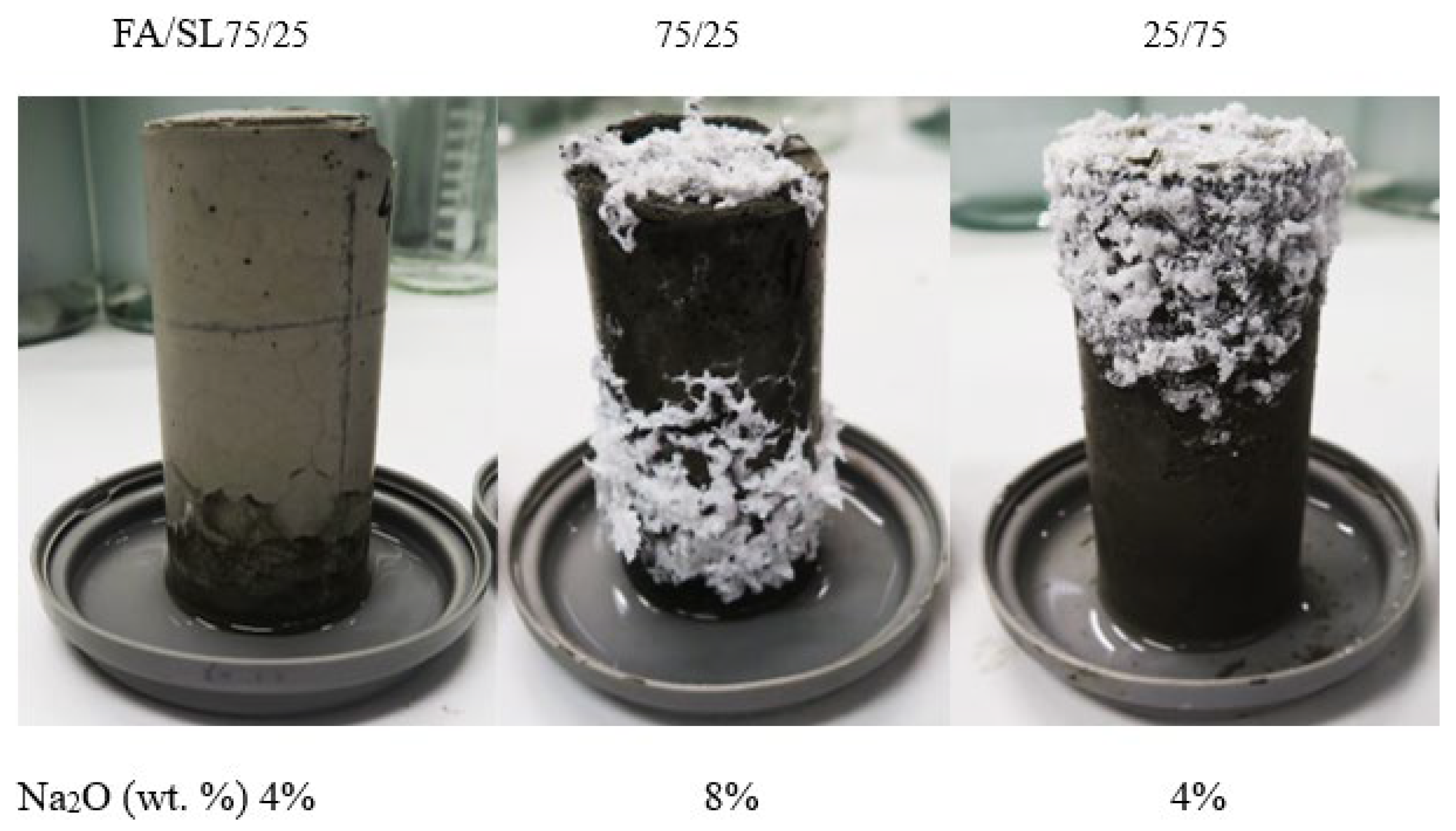 Materials 17 03647 g004