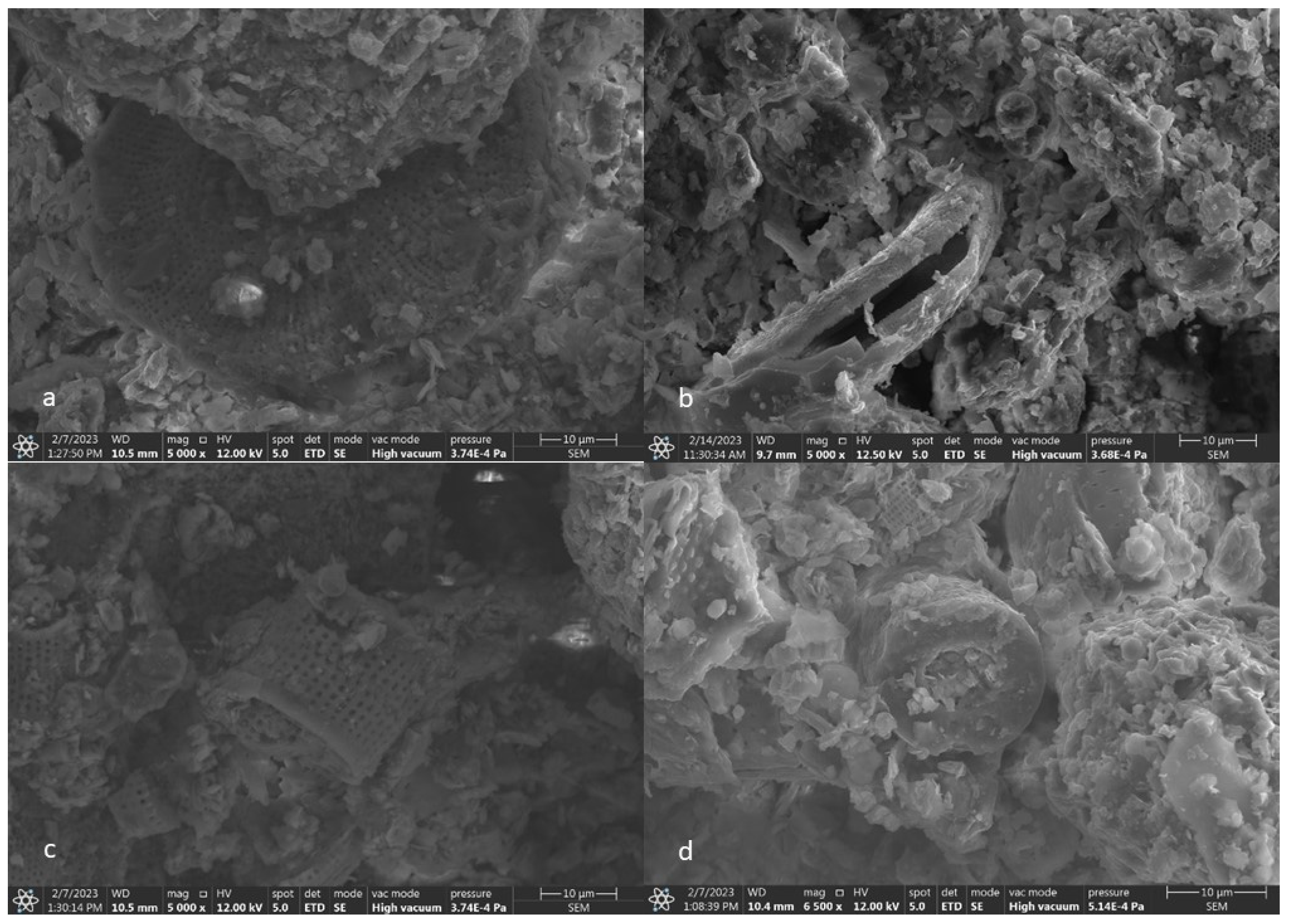 Materials 17 03662 g003