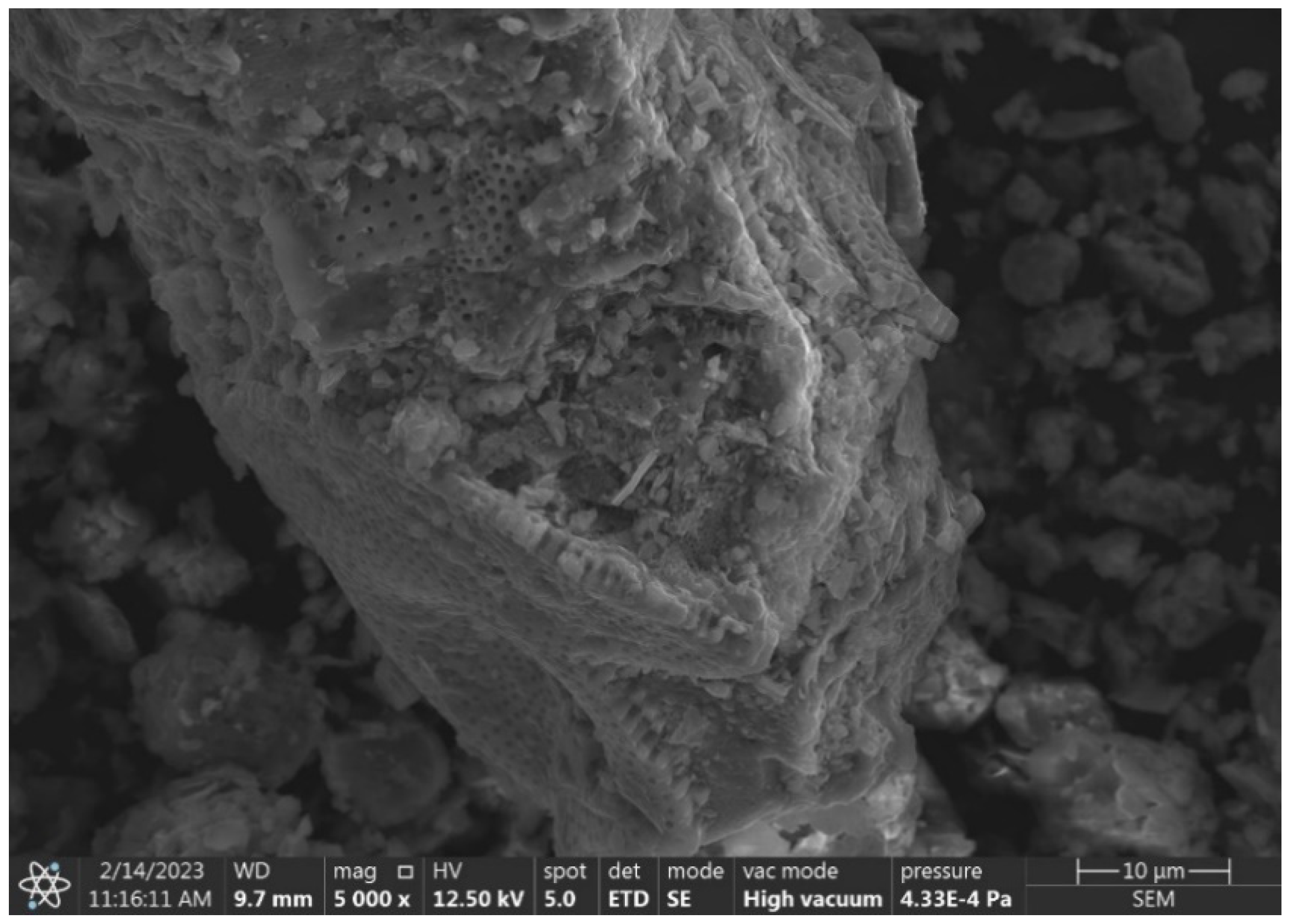 Materials 17 03662 g005