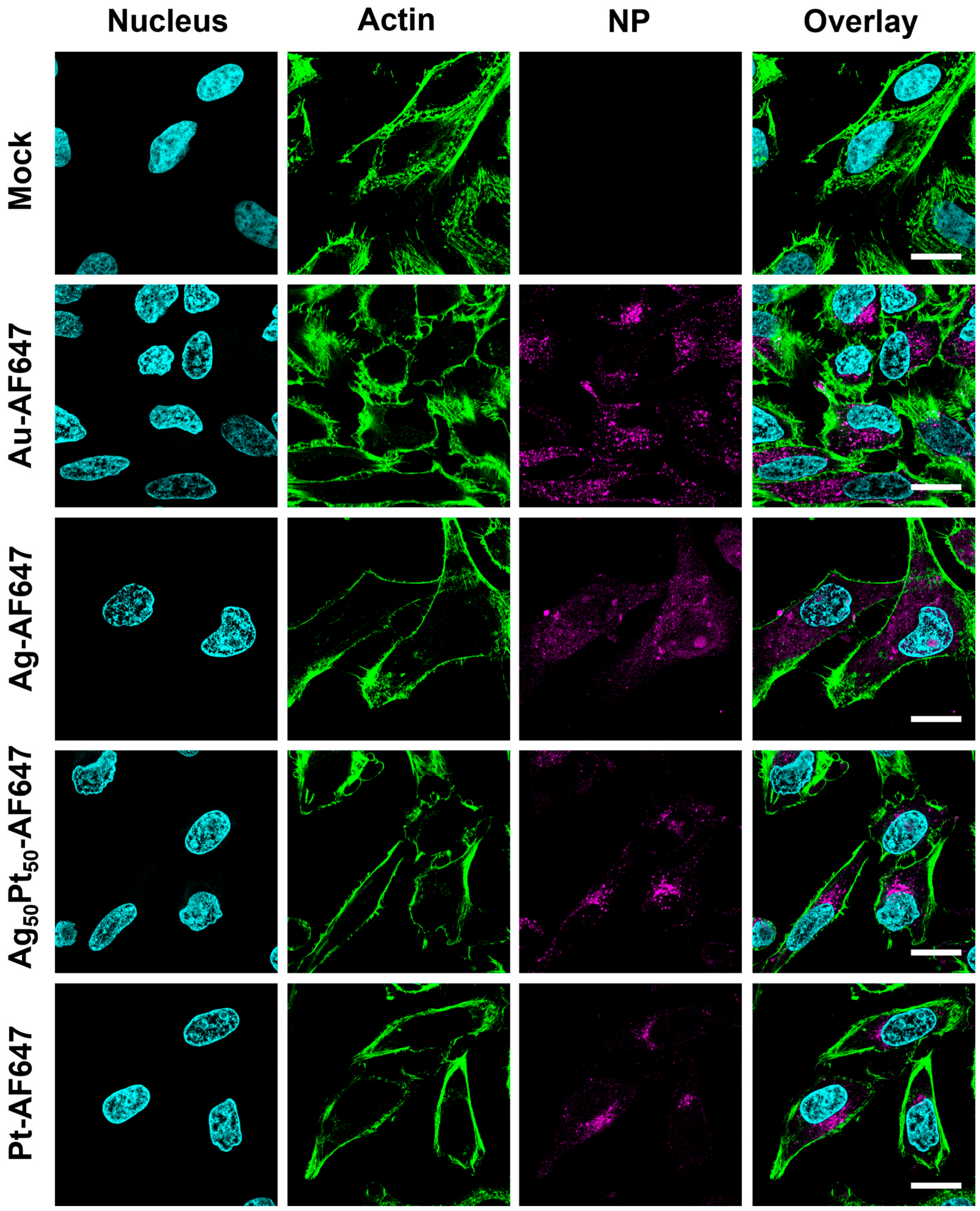 Materials 17 03702 g004