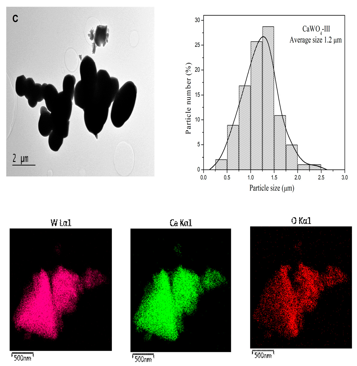 Materials 17 03724 g002b Materials 17 03724 g002b