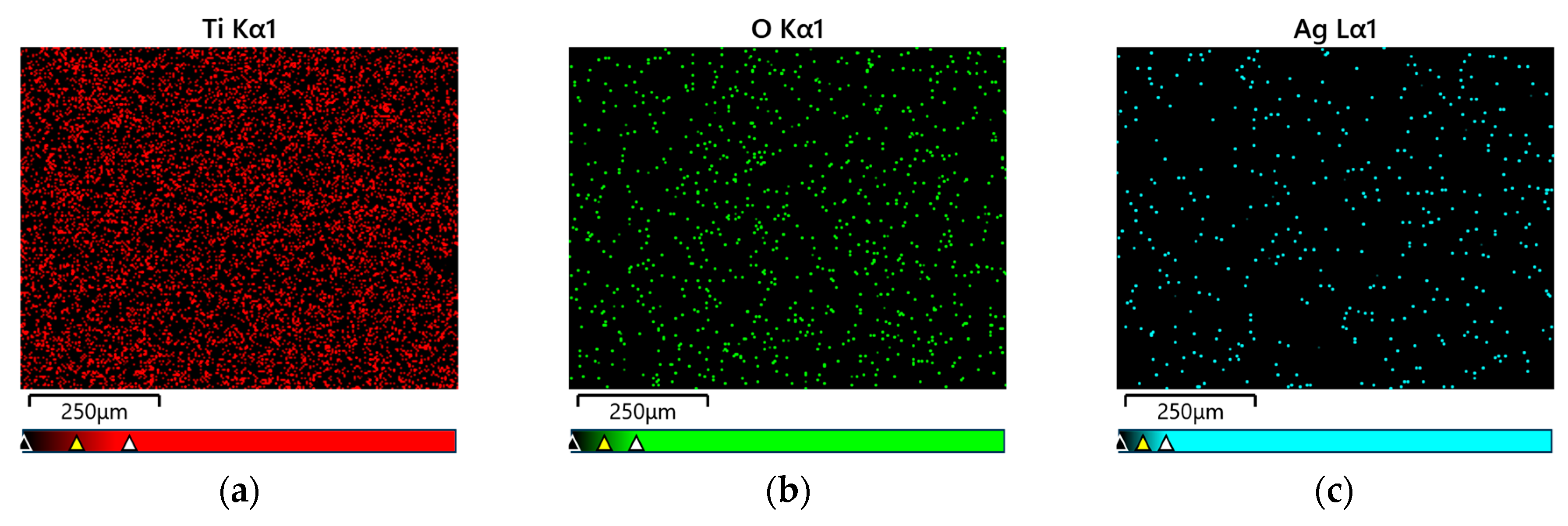 Materials 17 03753 g004