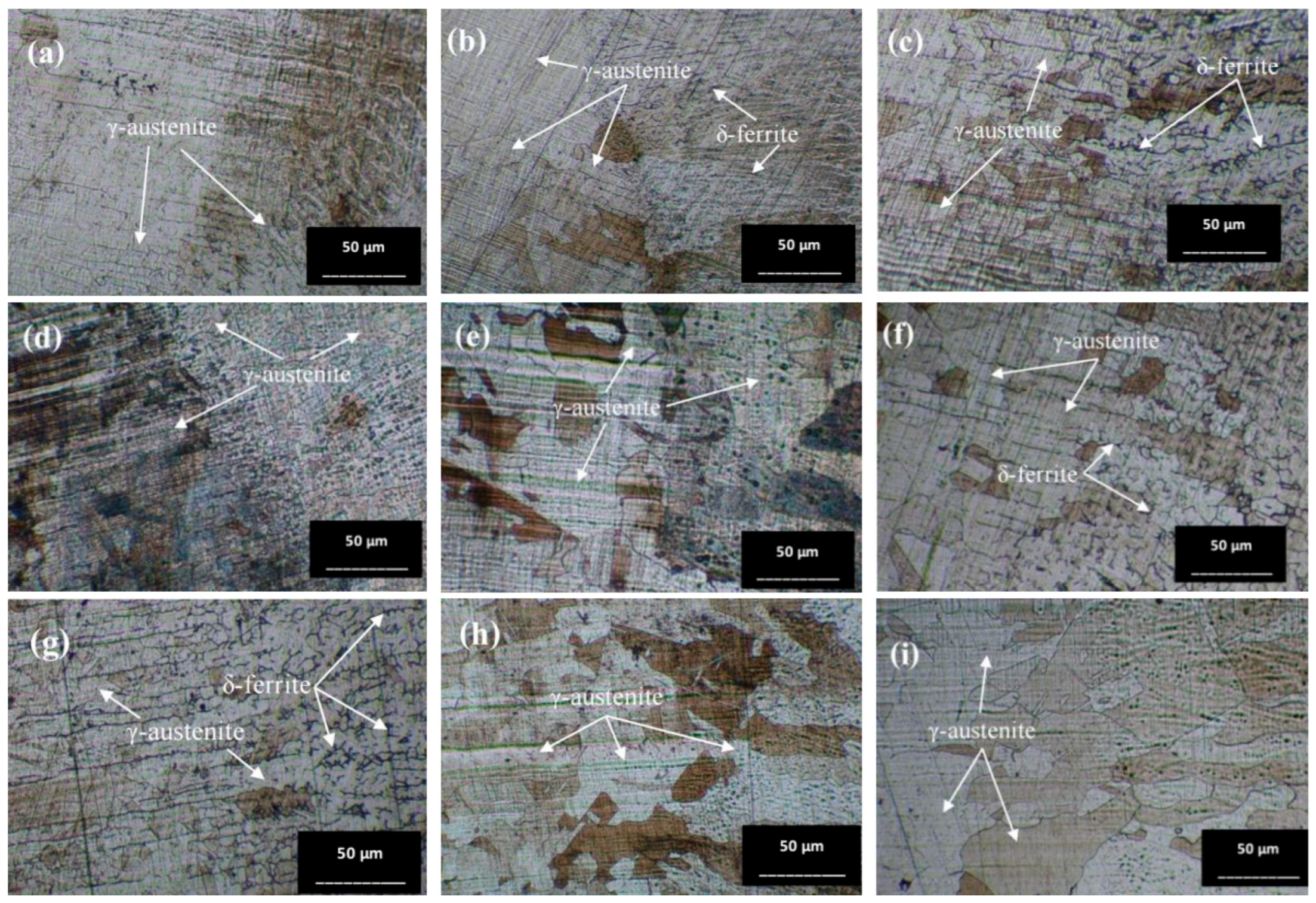 Materials 17 03768 g010