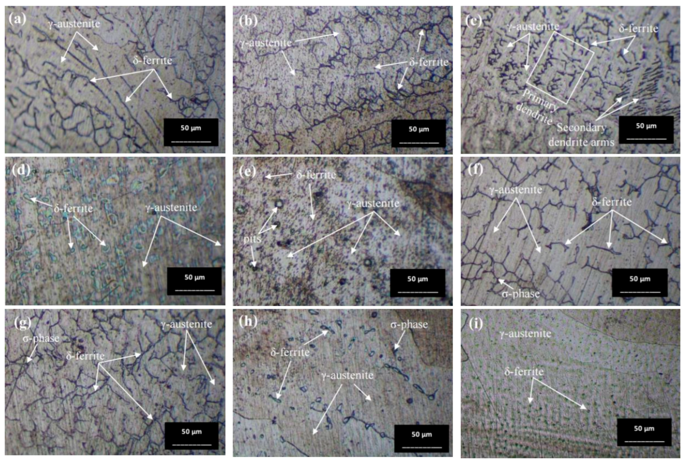 Materials 17 03768 g011