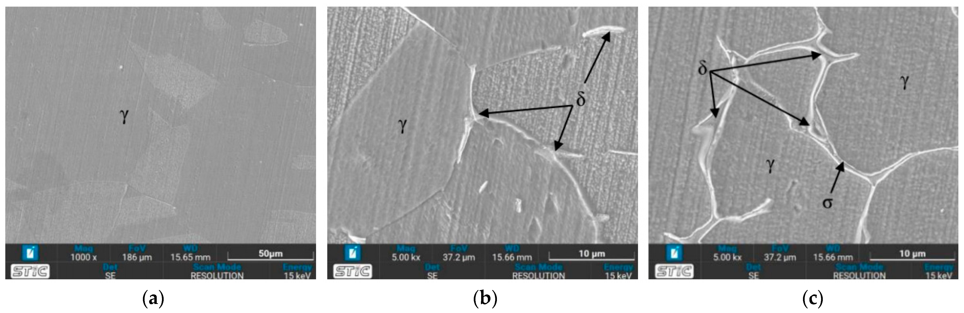 Materials 17 03768 g017