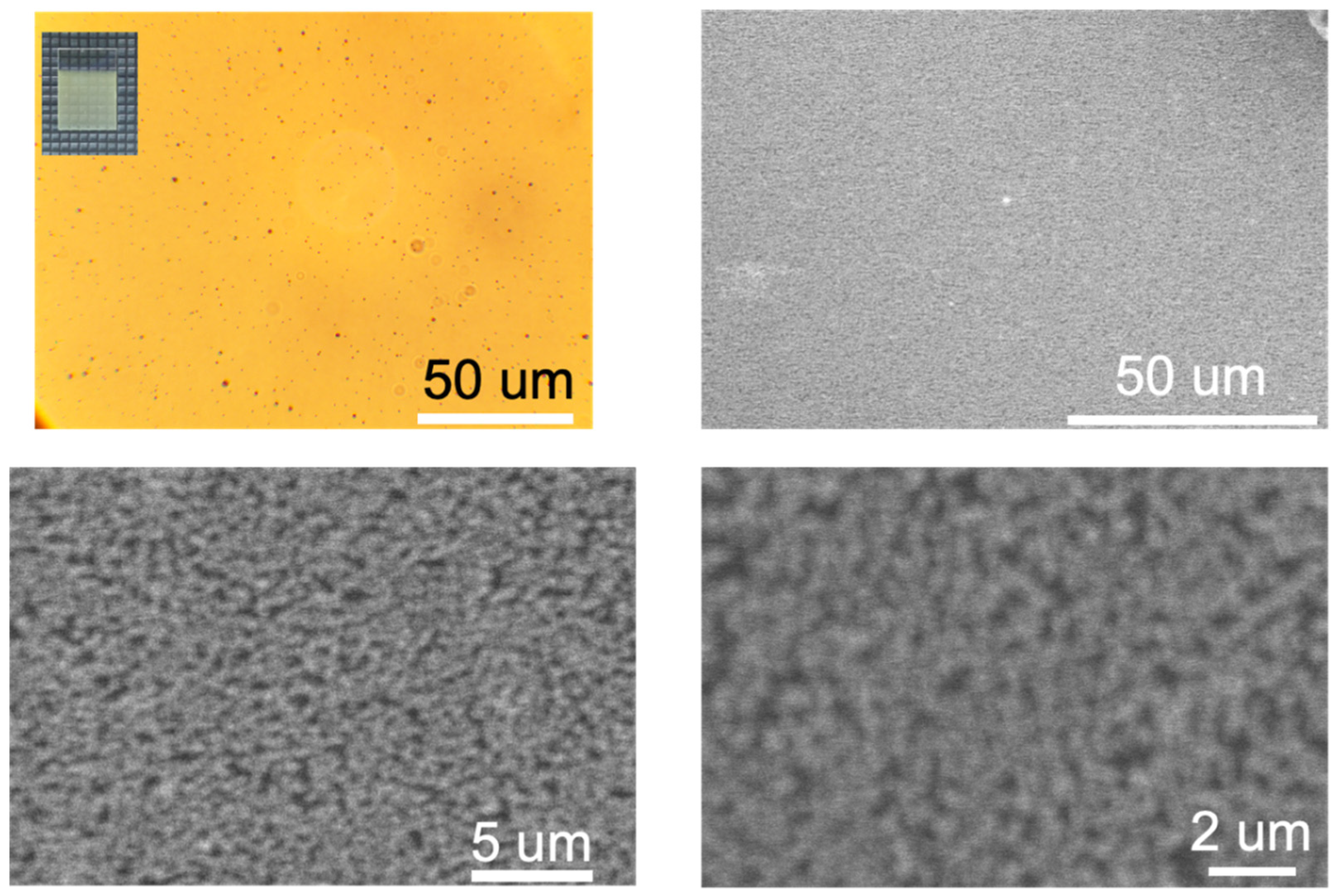 Materials 17 03779 g004