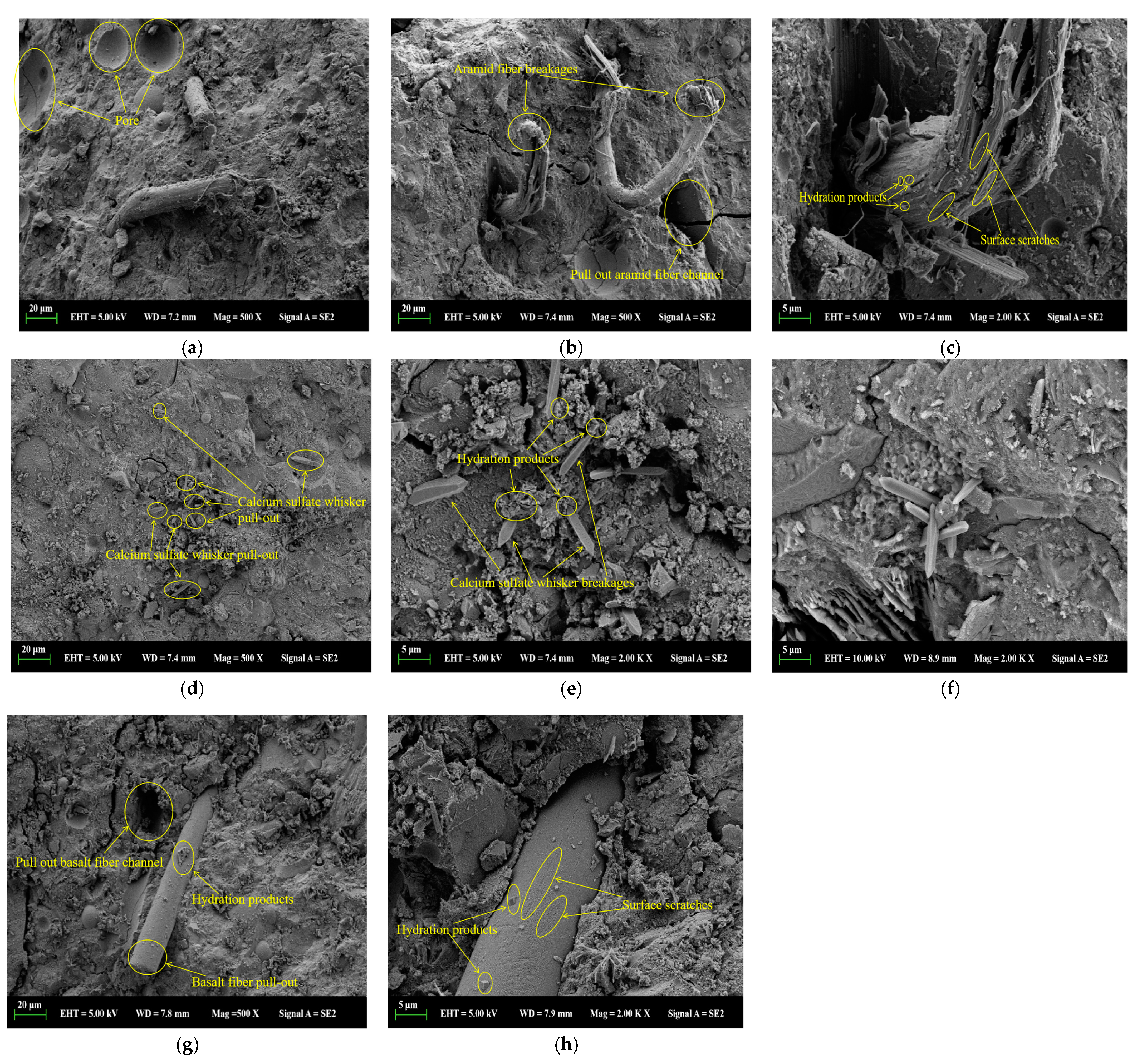 Materials 17 03798 g008