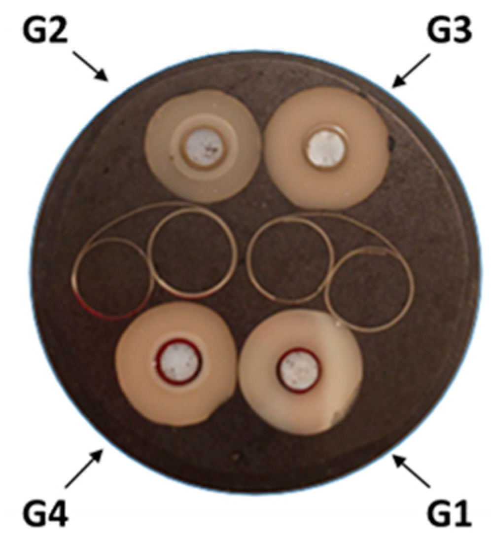 Materials 17 03815 g005 Materials 17 03815 g005