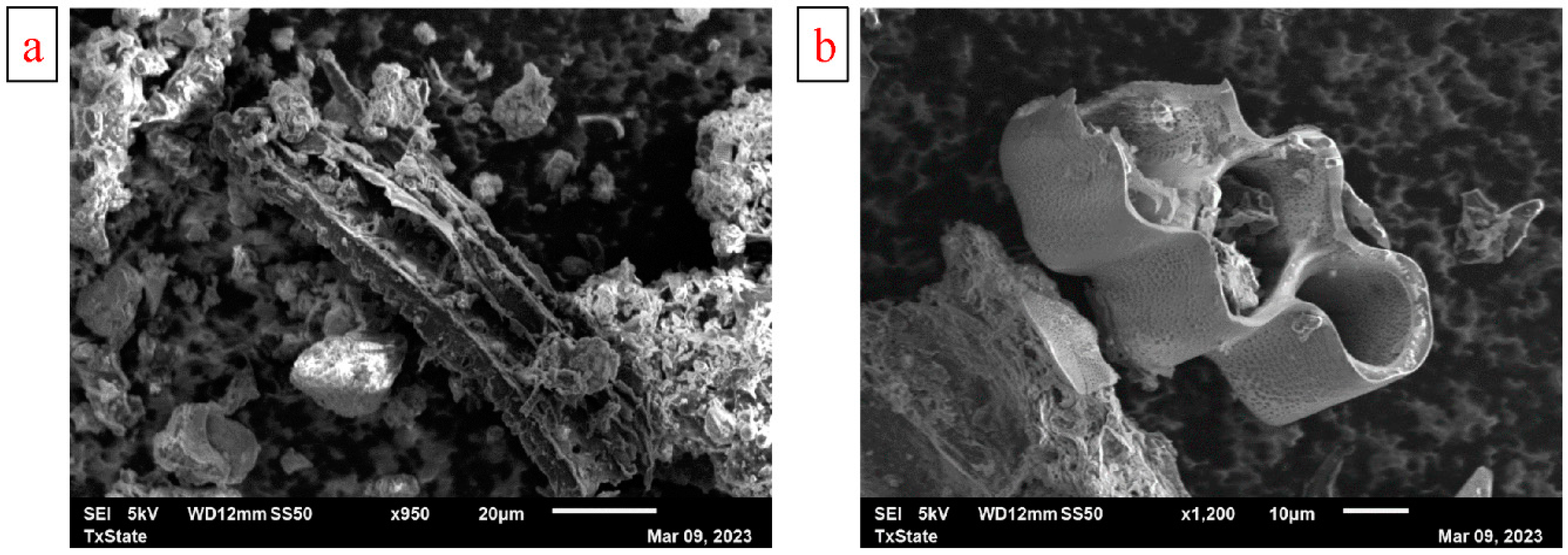 Materials 17 03858 g001