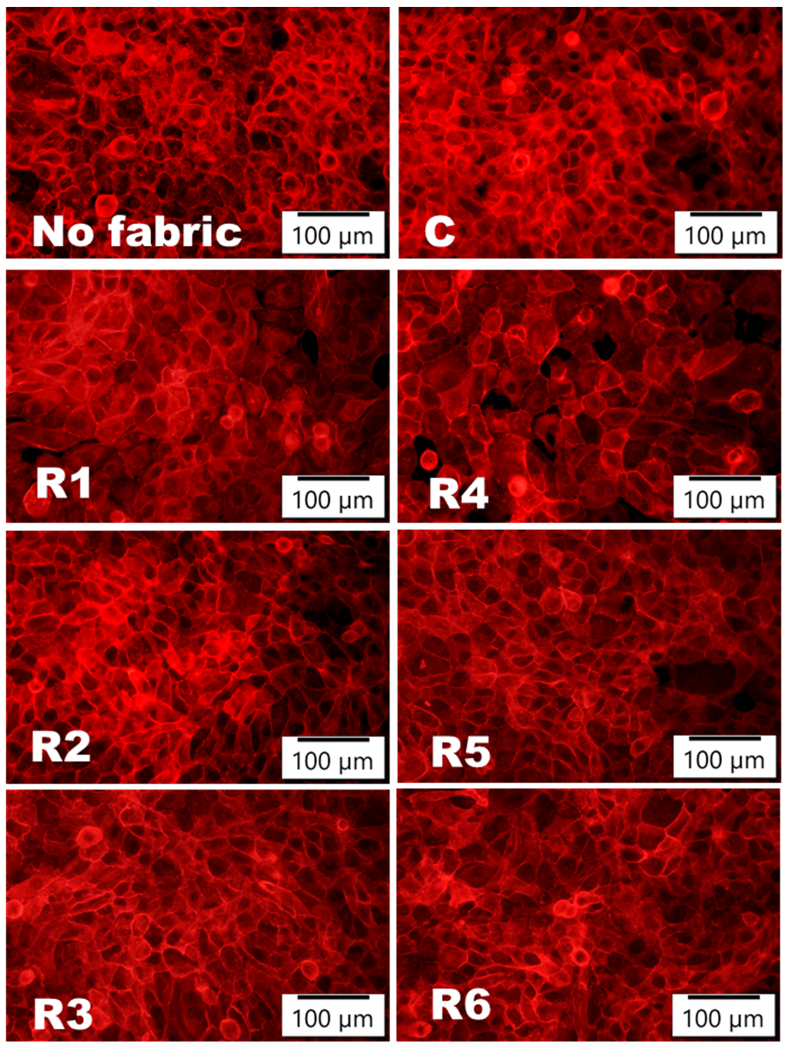 Materials 17 03867 g004