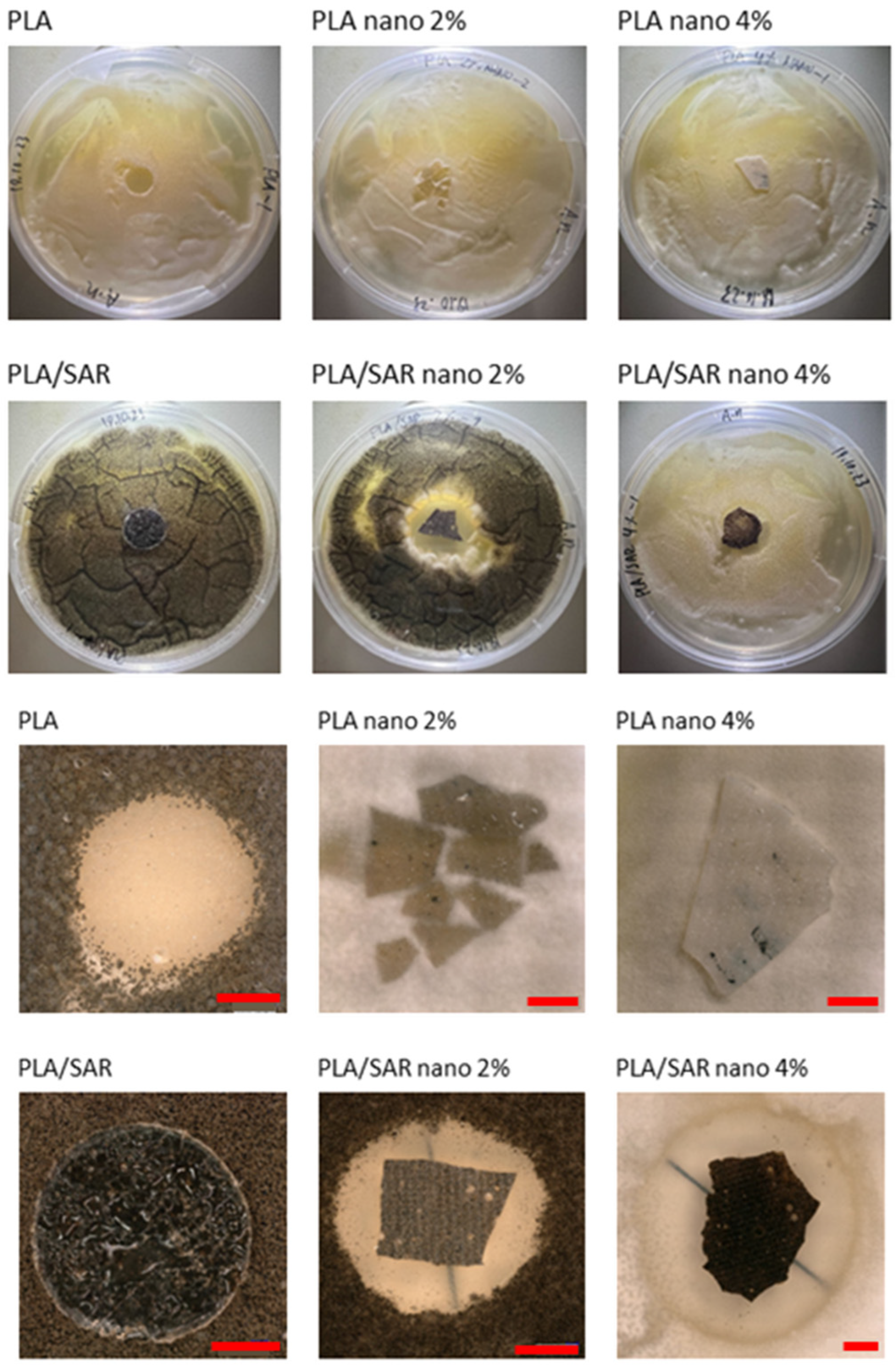 Materials 17 03868 g007