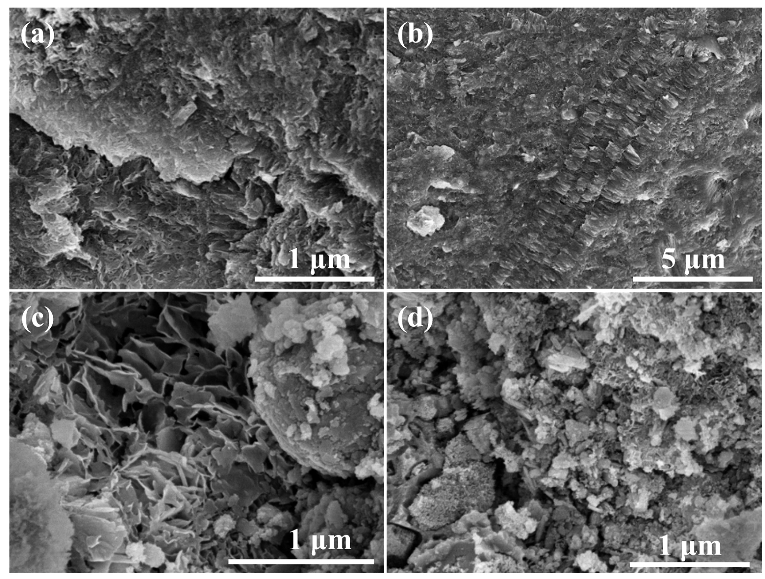 Materials 17 03874 g010