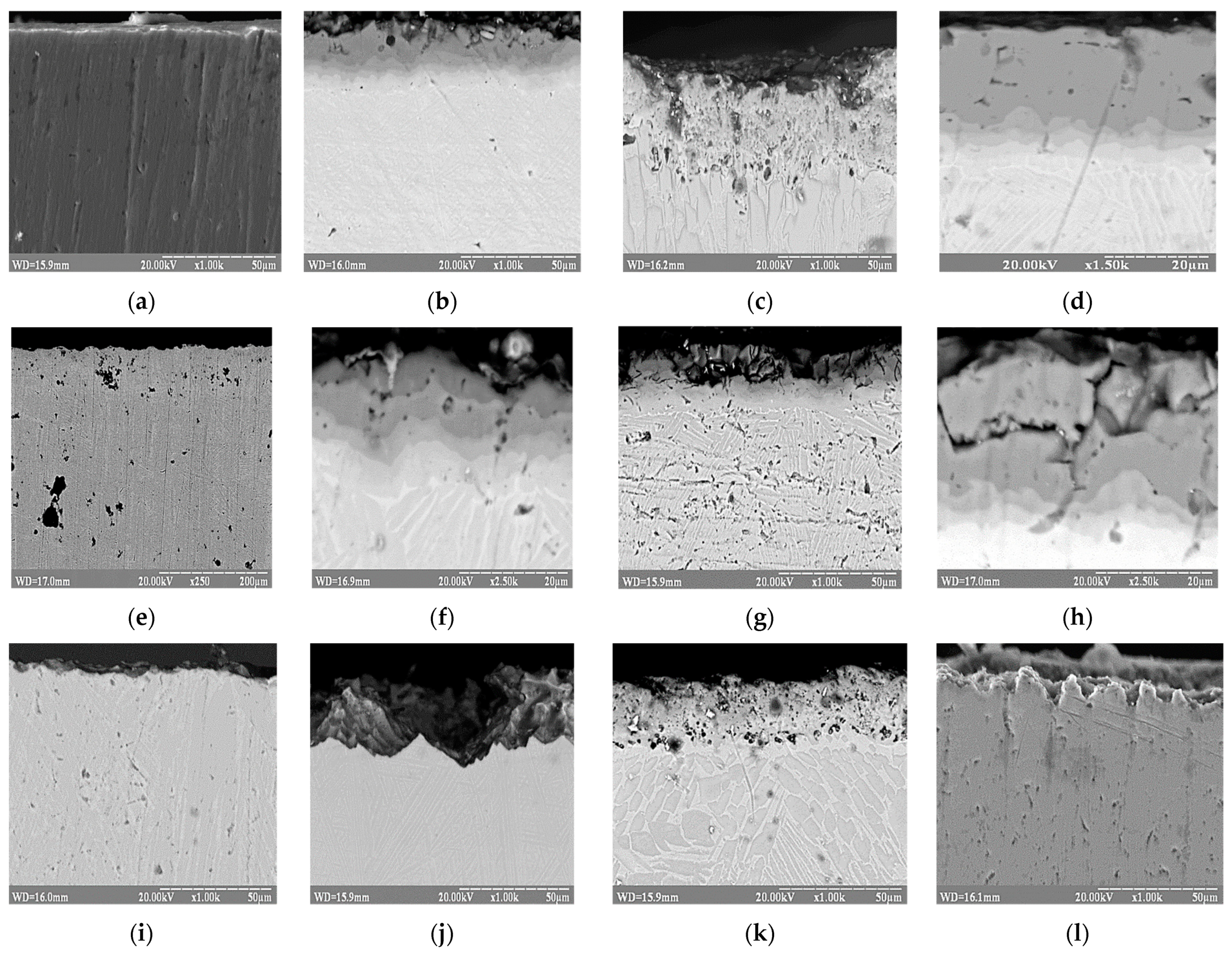 Materials 17 03880 g006