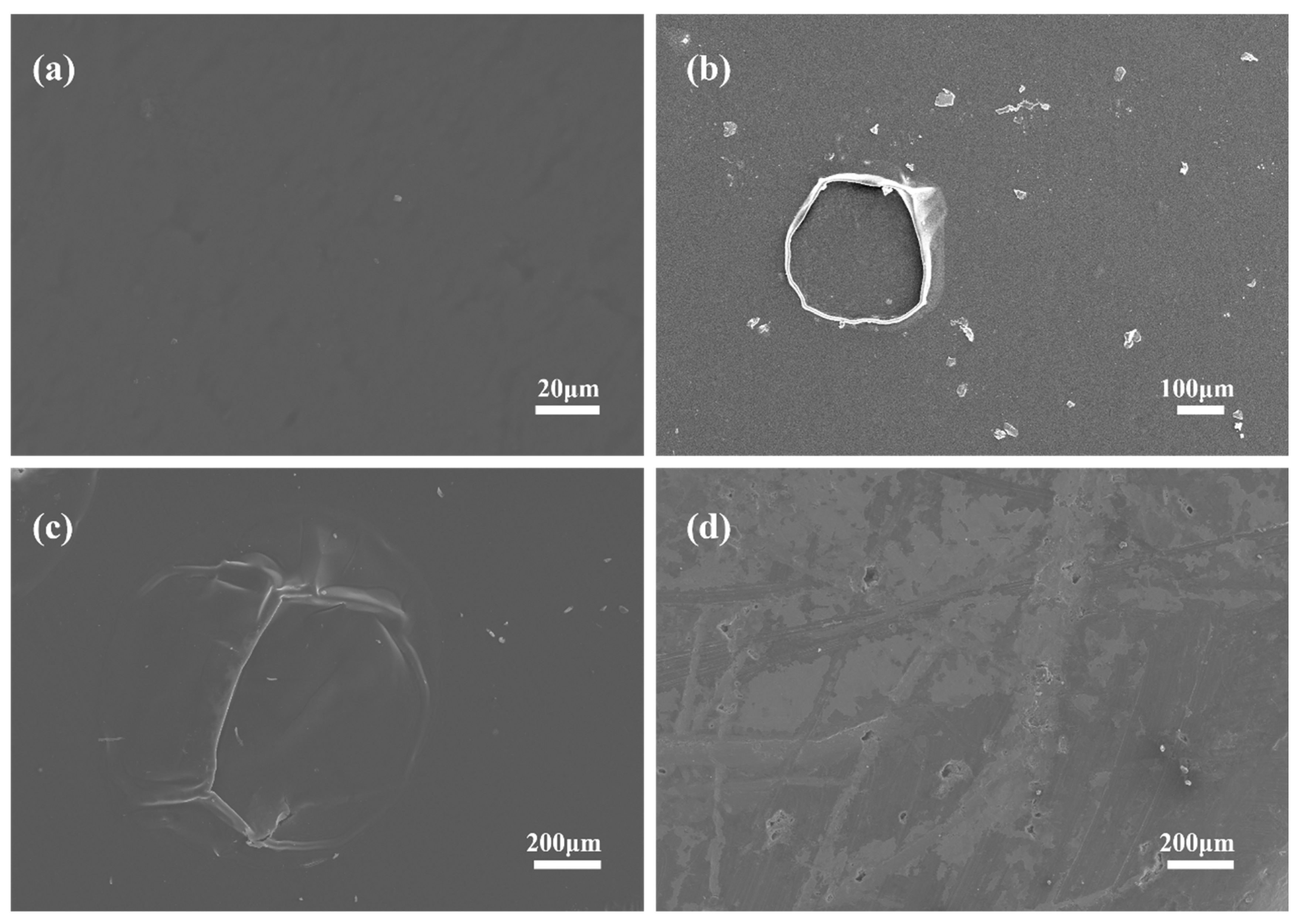 Materials 17 03884 g002