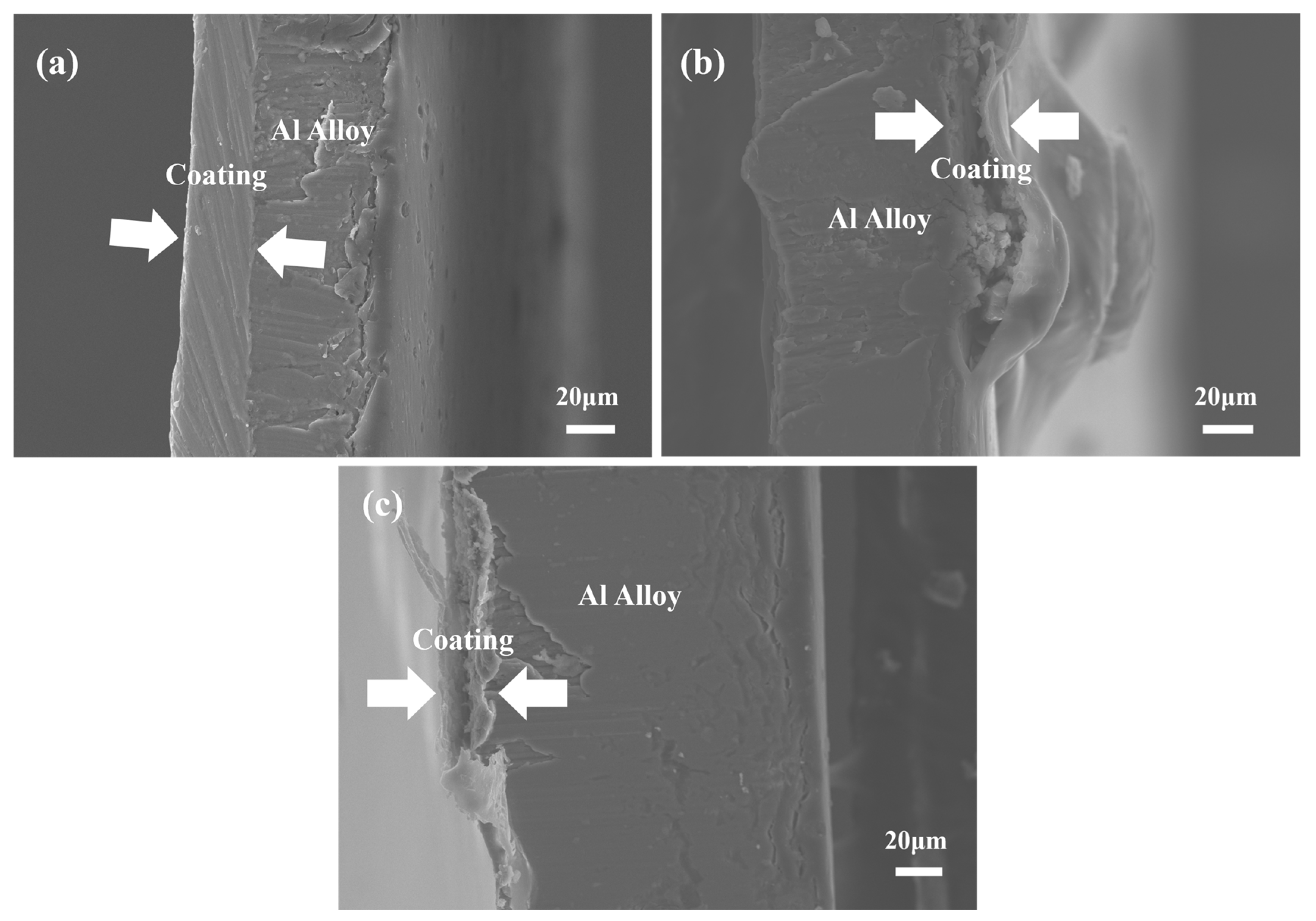 Materials 17 03884 g003