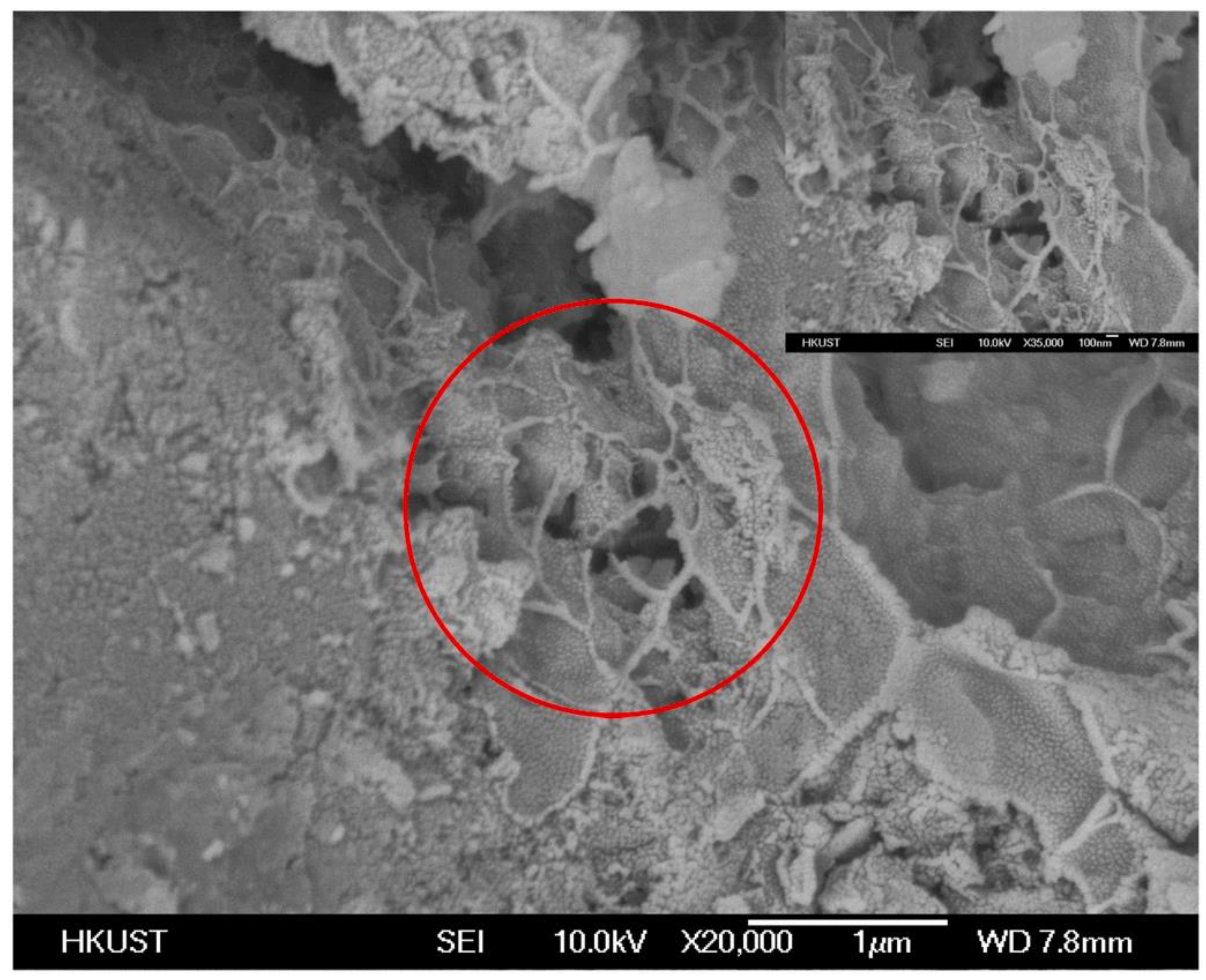 Materials 17 03888 g001