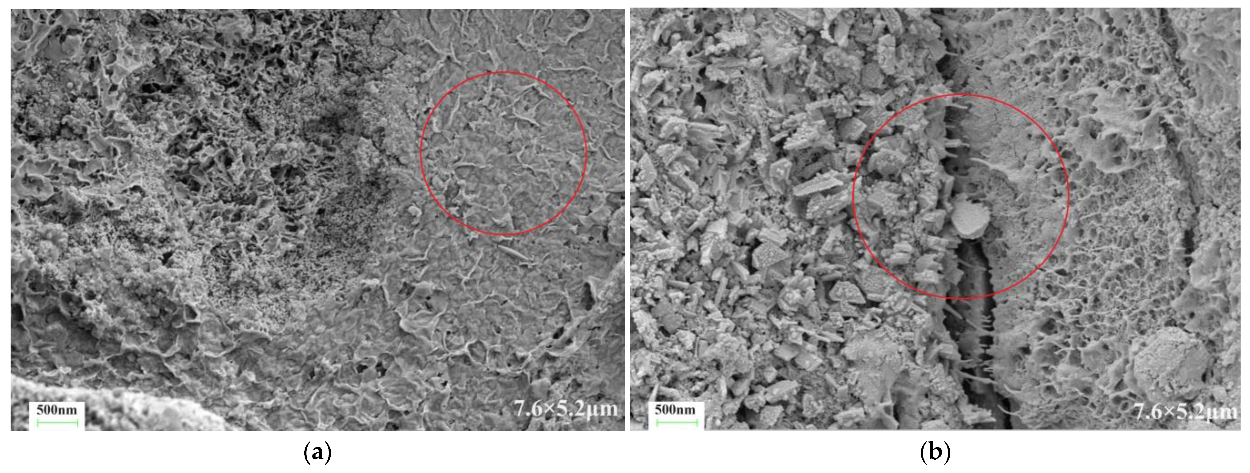 Materials 17 03888 g014