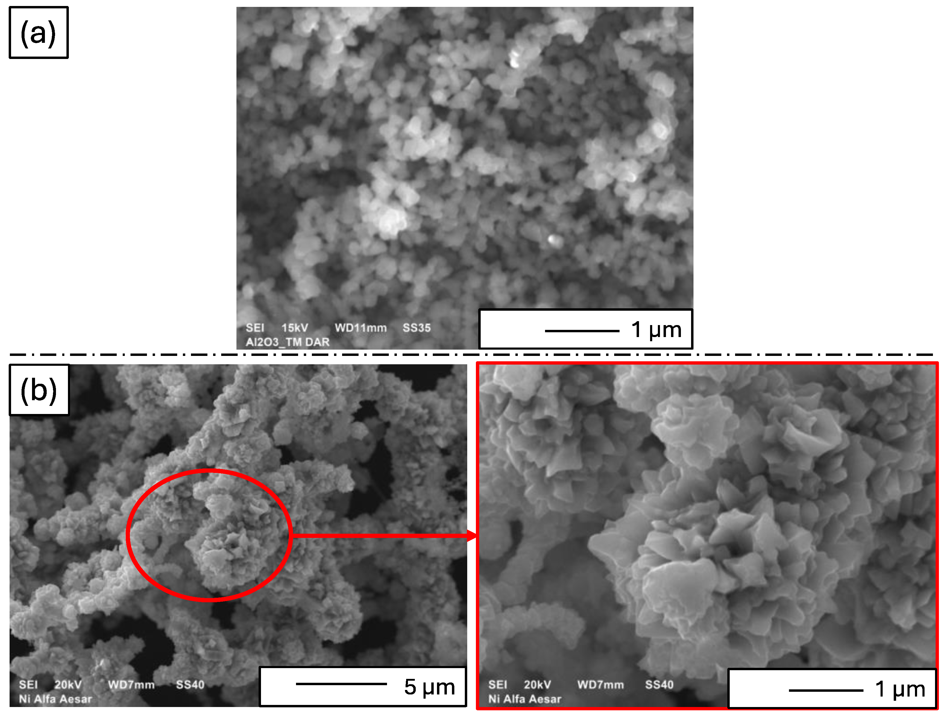 Materials 17 03902 g003