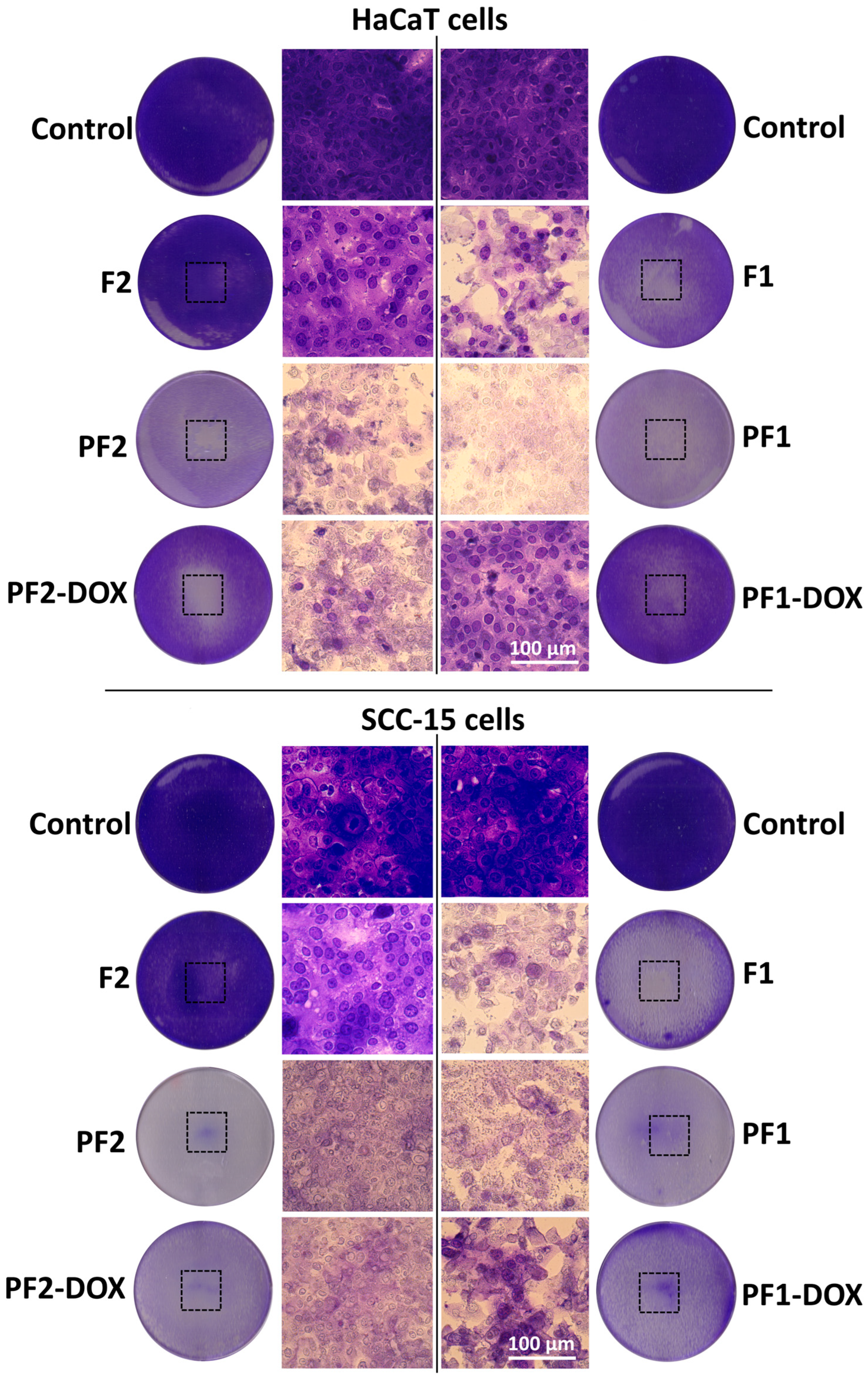 Materials 17 03905 g004