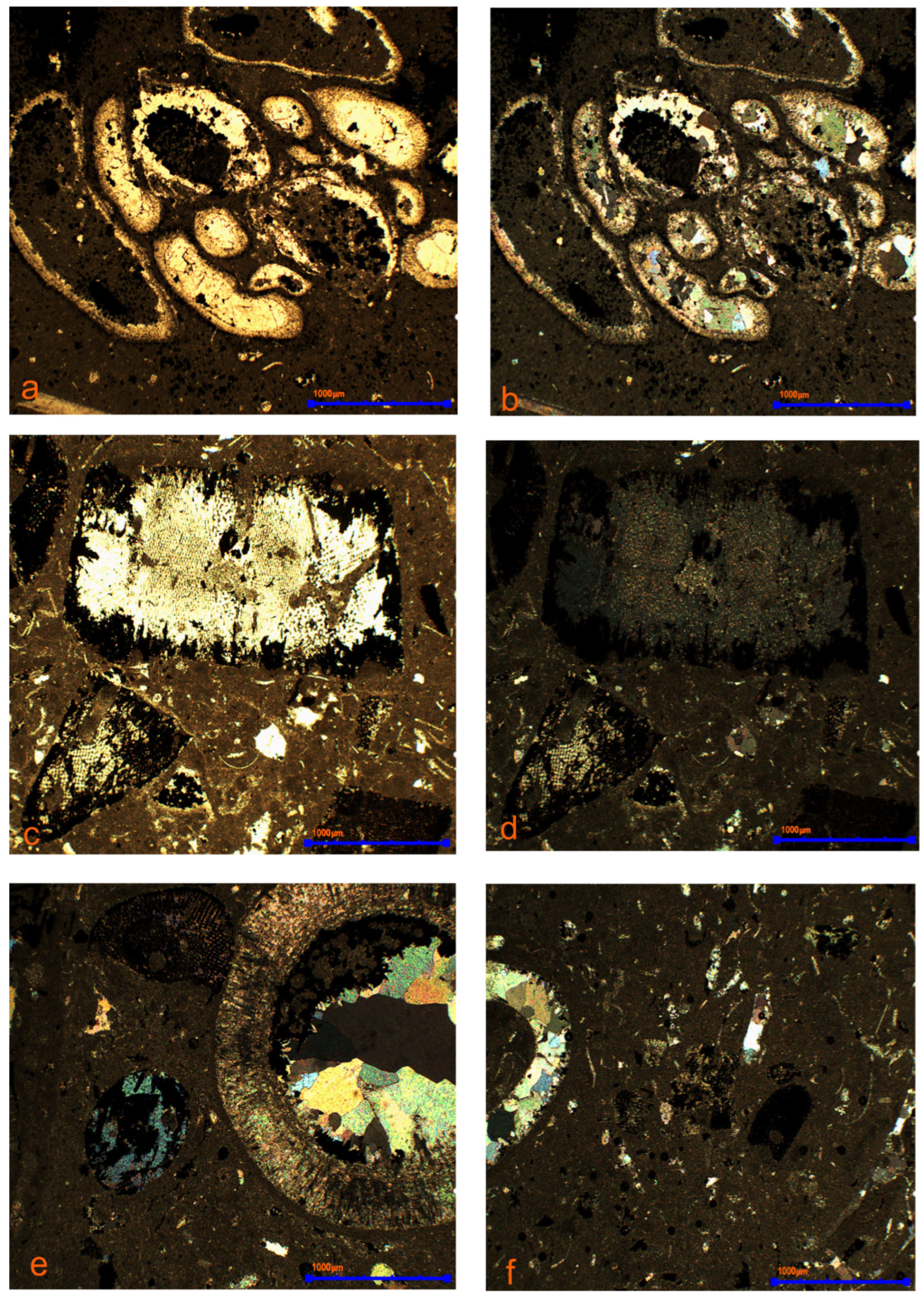 Materials 17 03909 g012