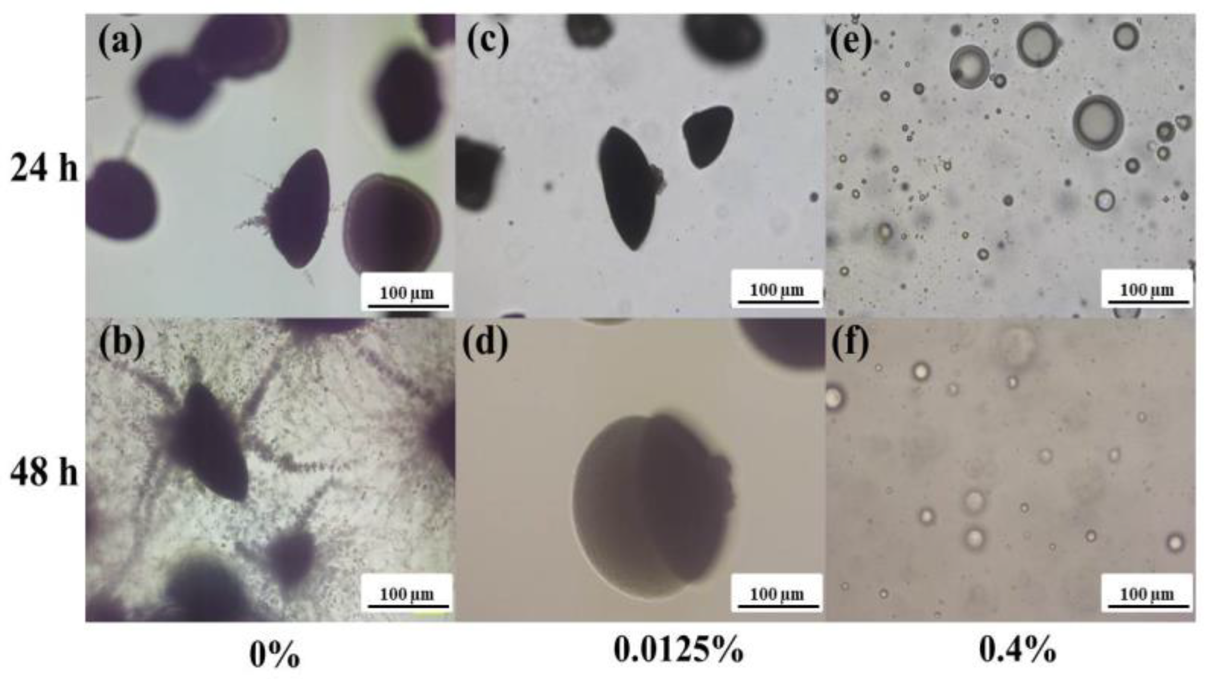 Materials 17 03936 g005