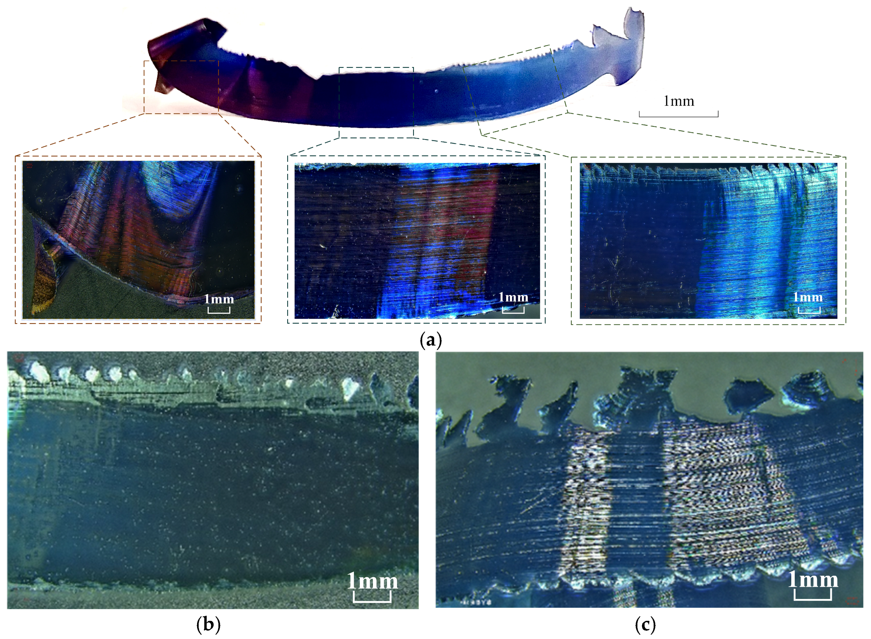 Materials 17 03948 g006