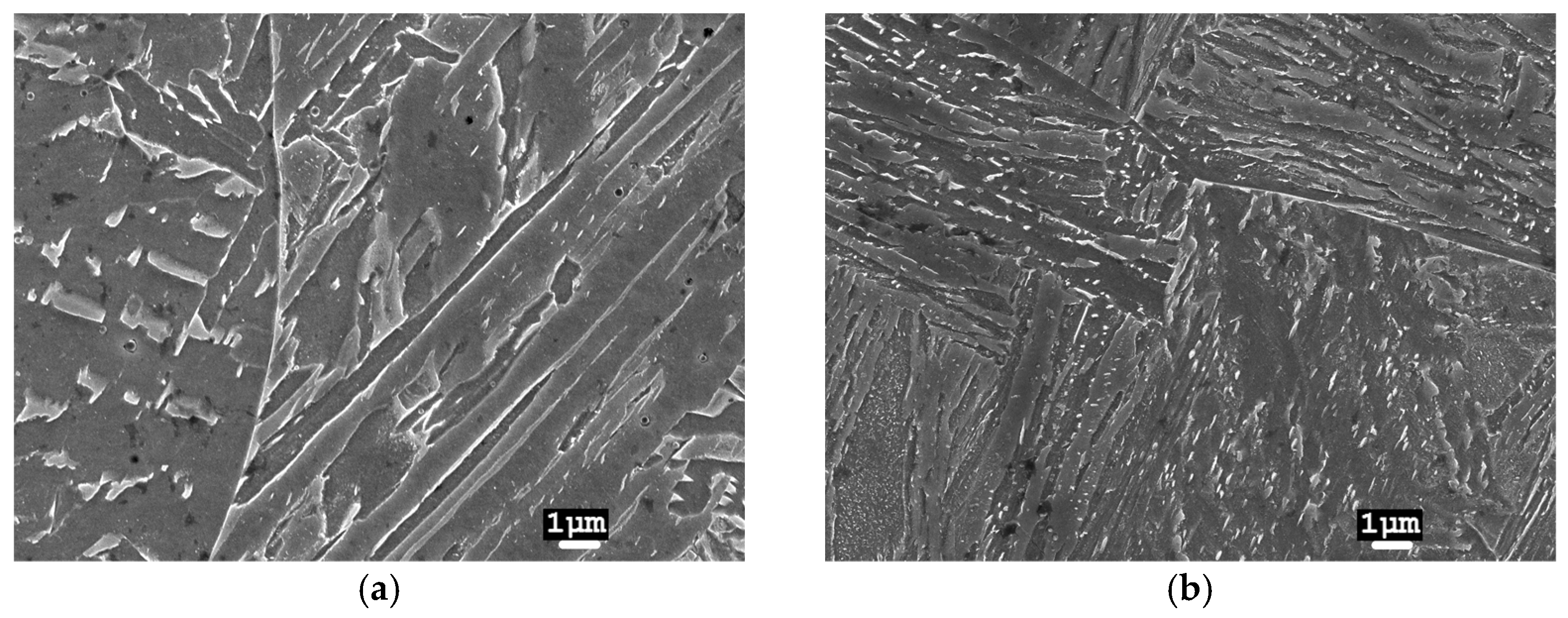 Materials 17 03956 g007 Materials 17 03956 g007