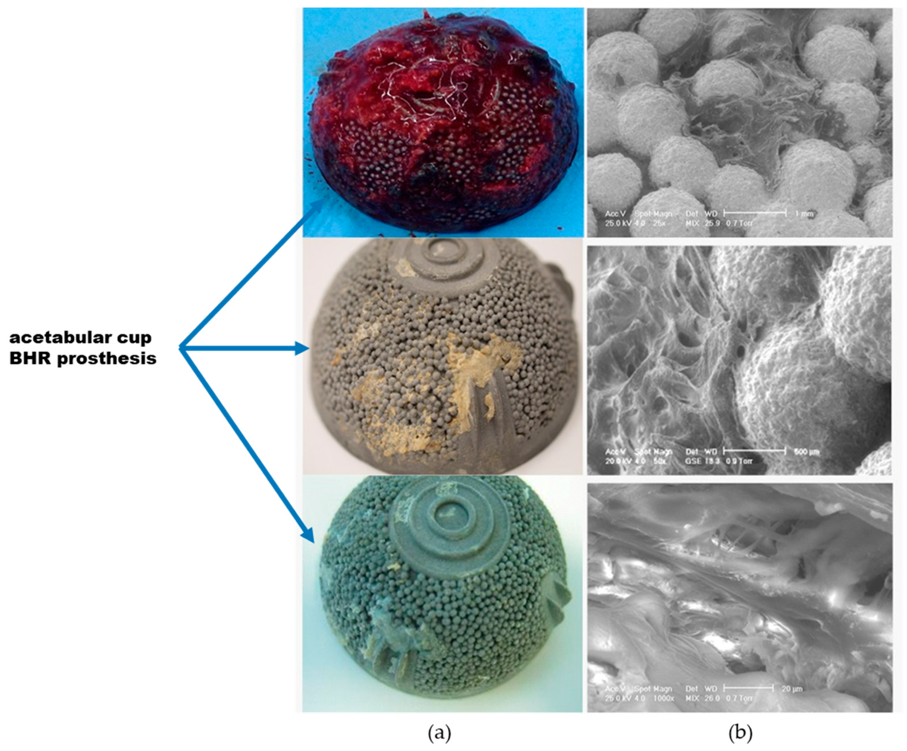 Materials 17 03965 g005