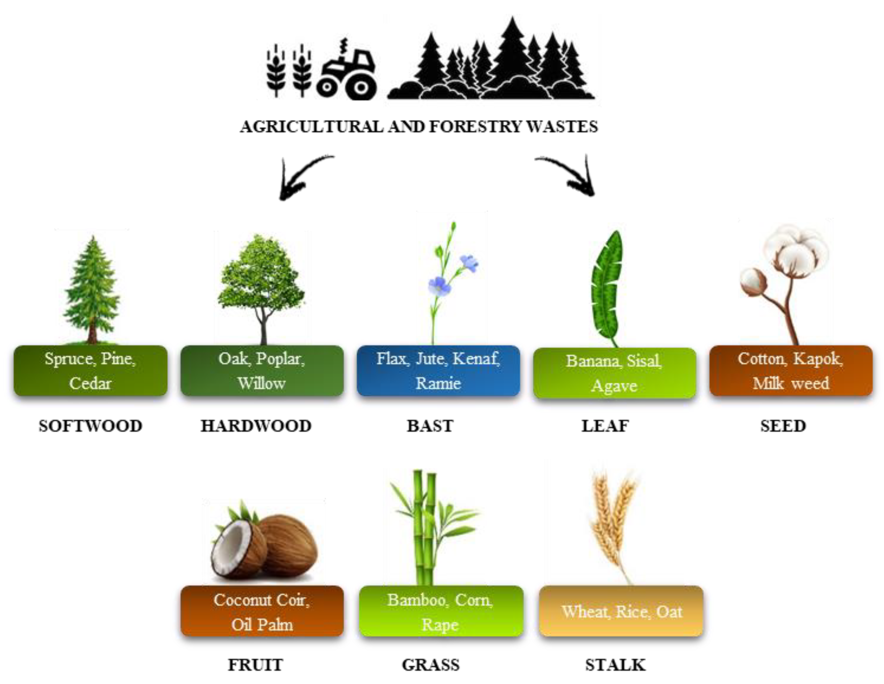 Materials 17 03971 g007