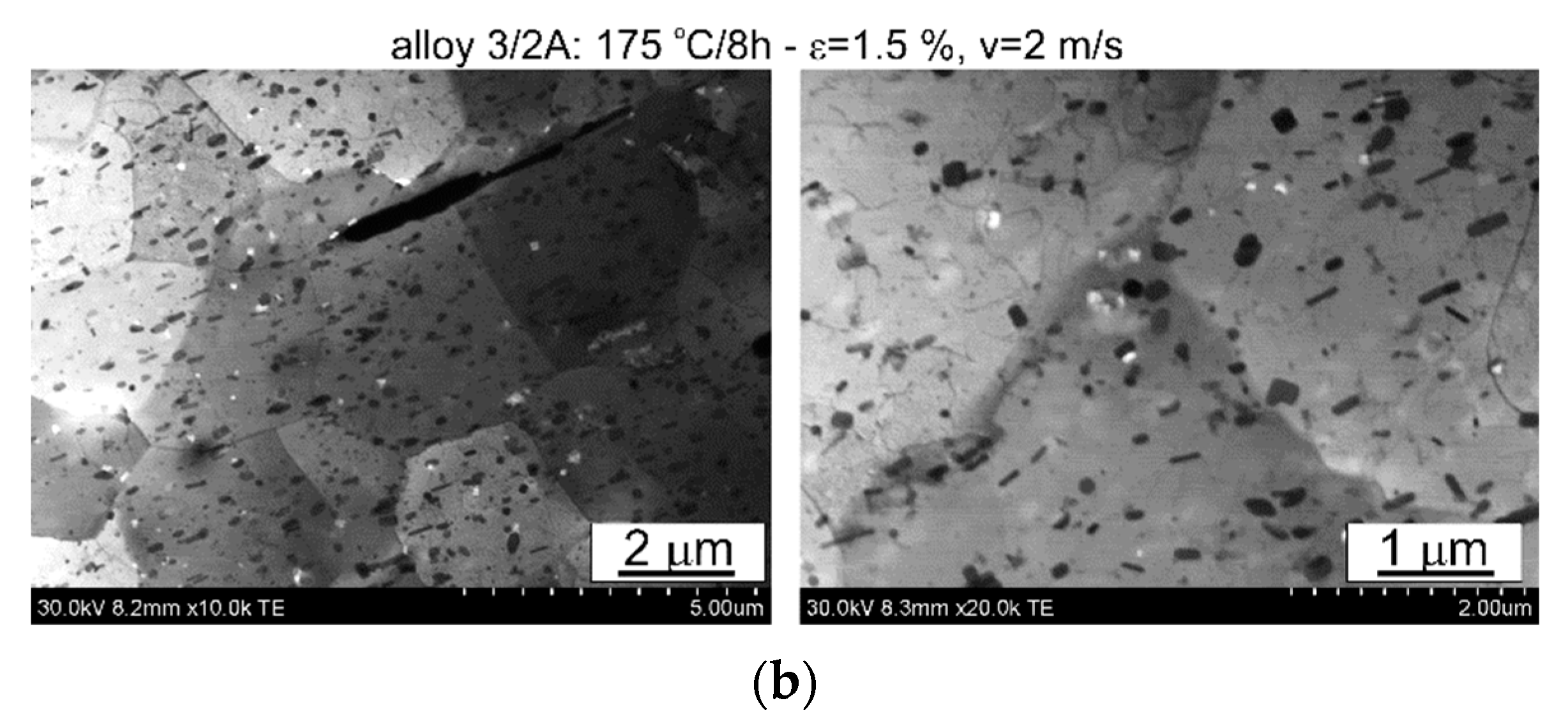 Materials 17 03983 g015b