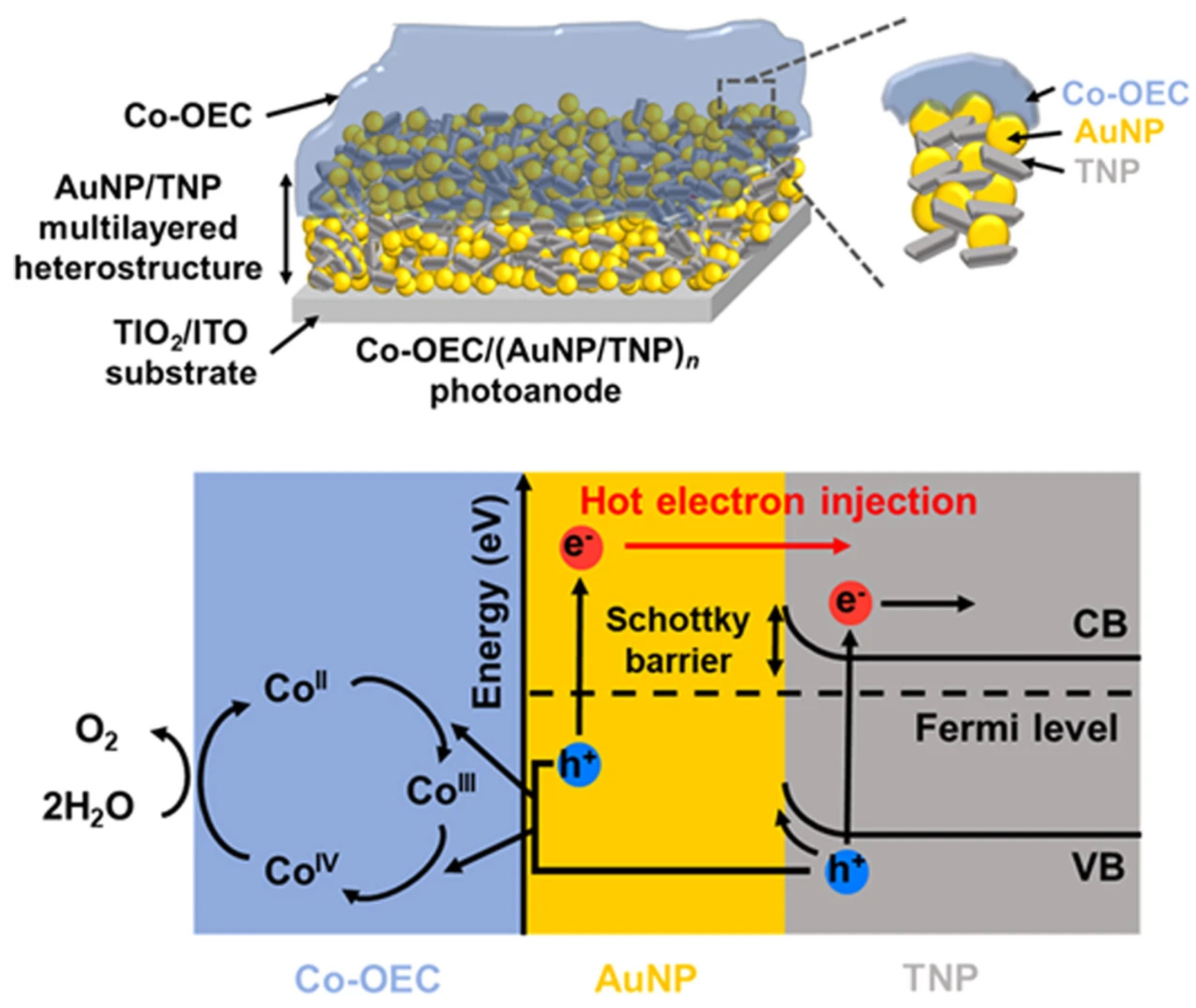 Materials 17 04004 g010 Materials 17 04004 g010