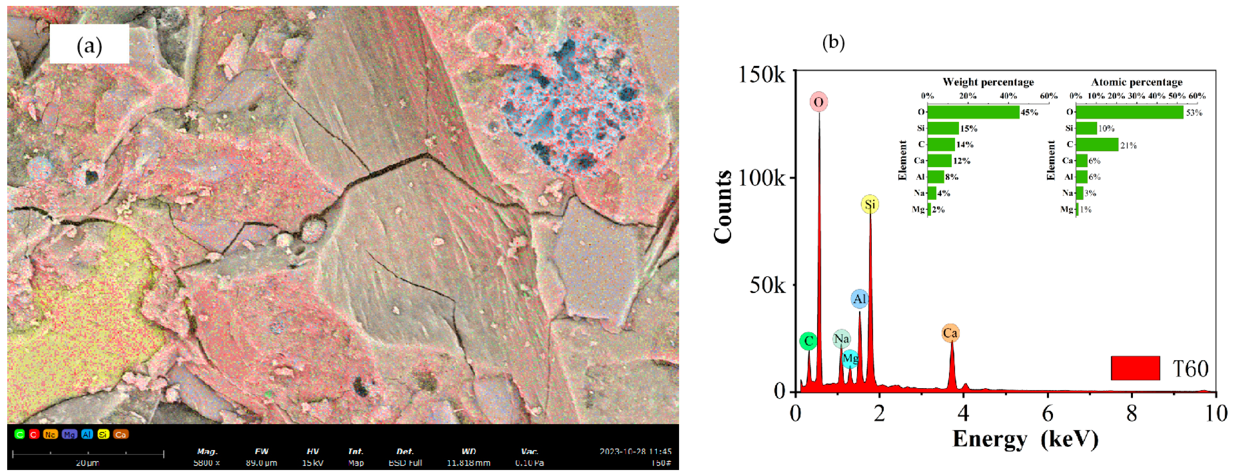 Materials 17 04011 g019
